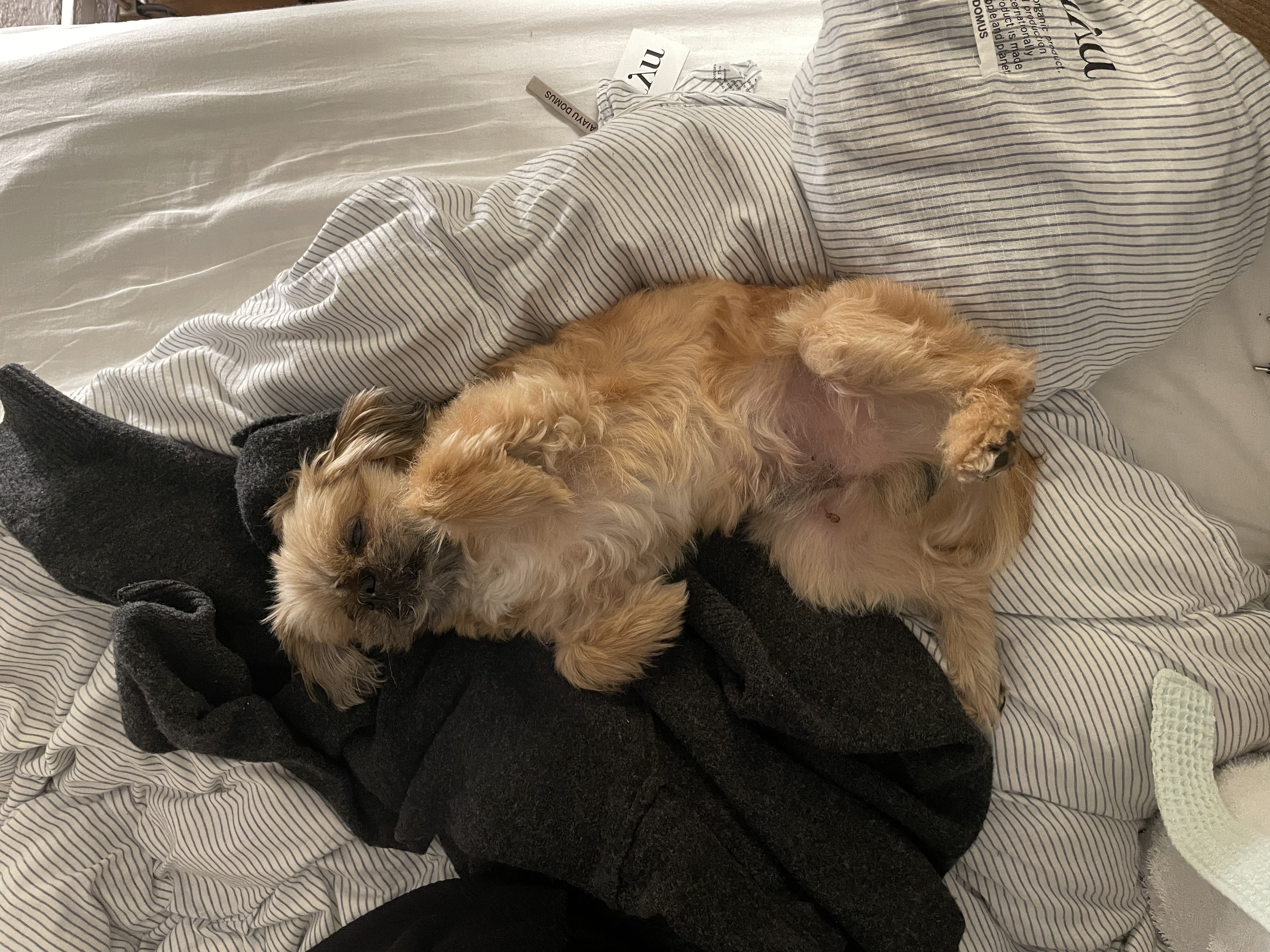 image-6