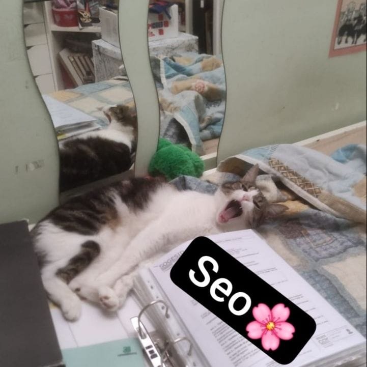 Seo