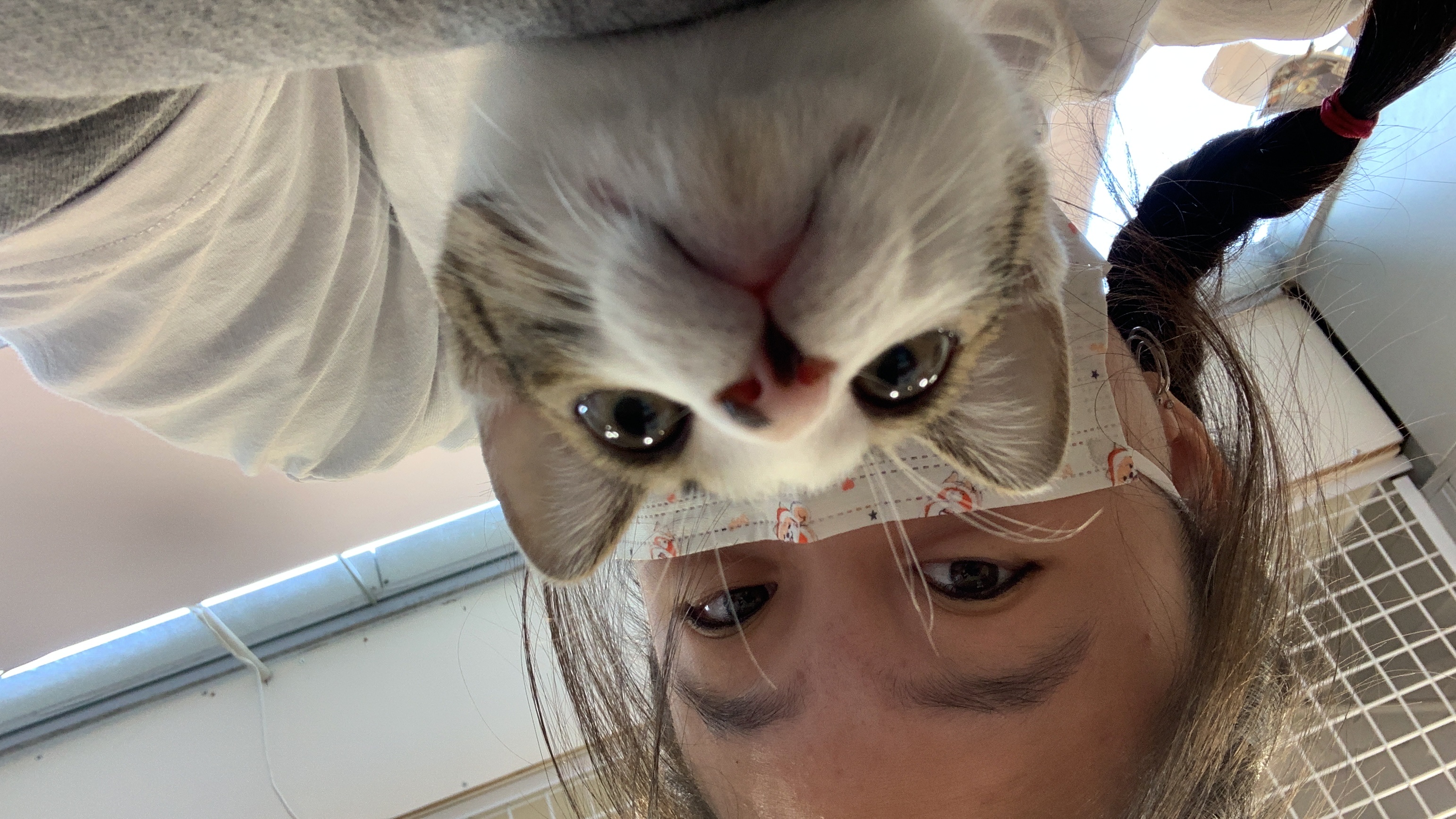 image-6