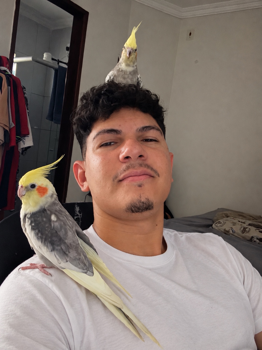 image-6