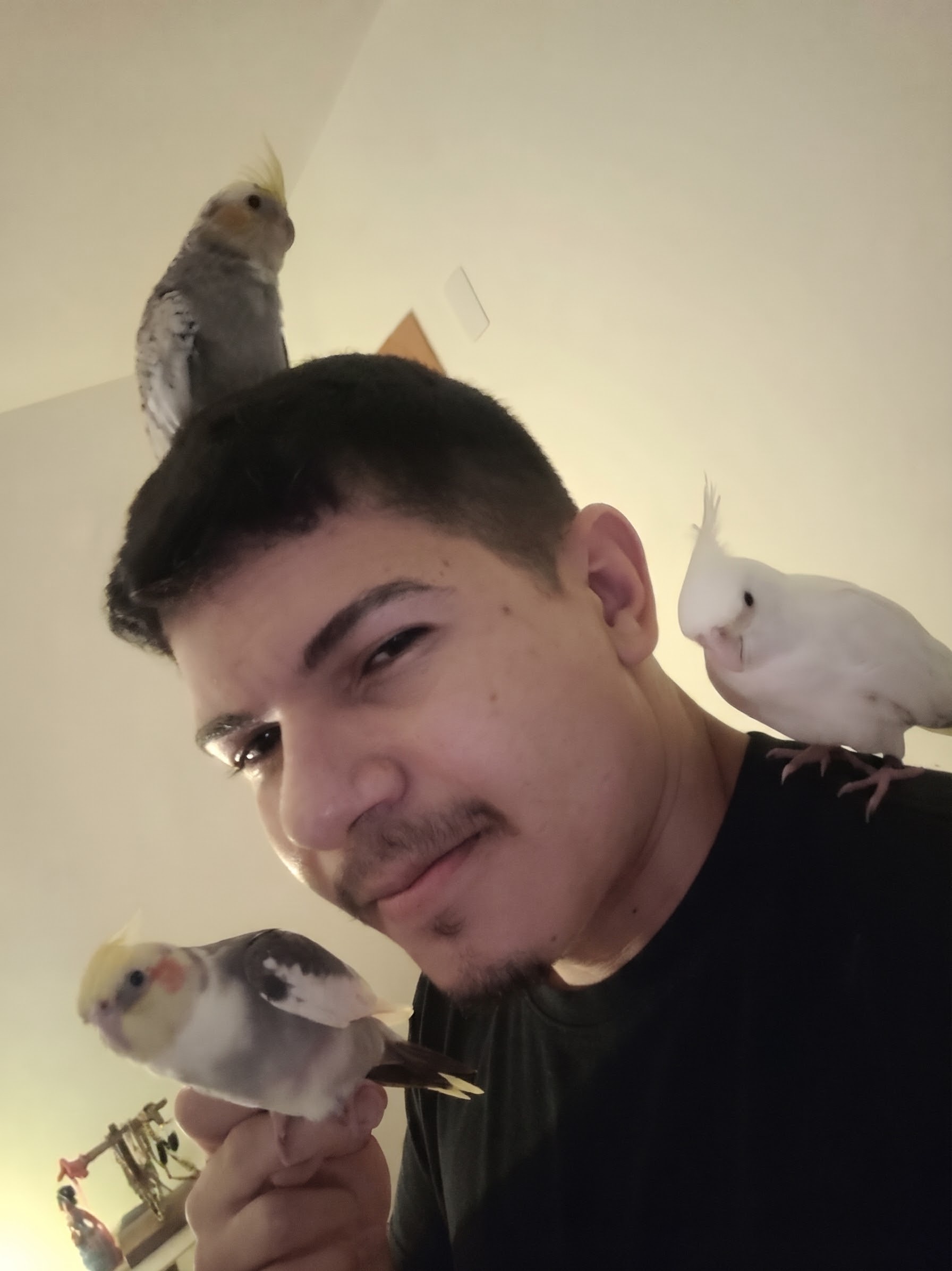 image-8