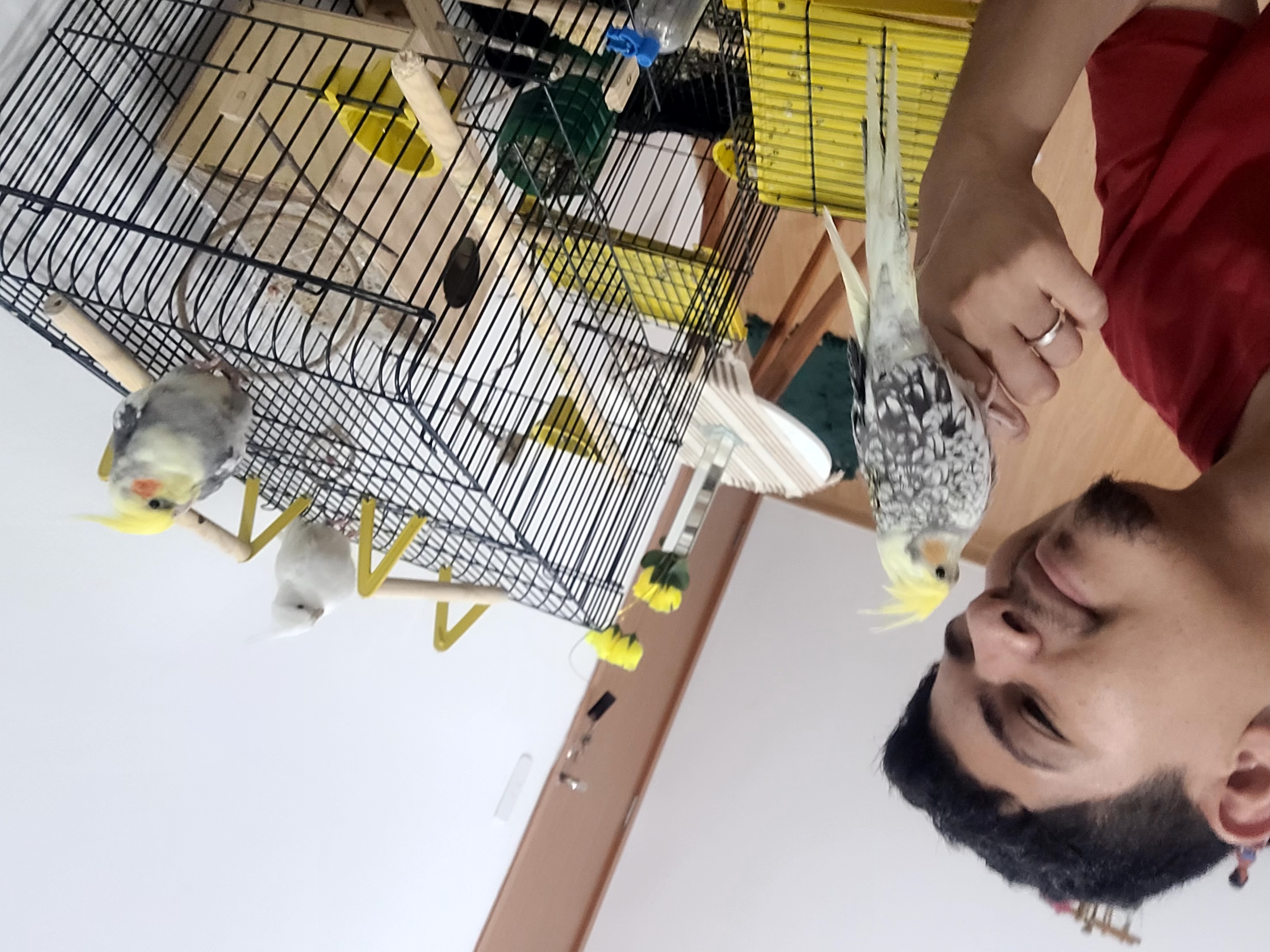 image-4
