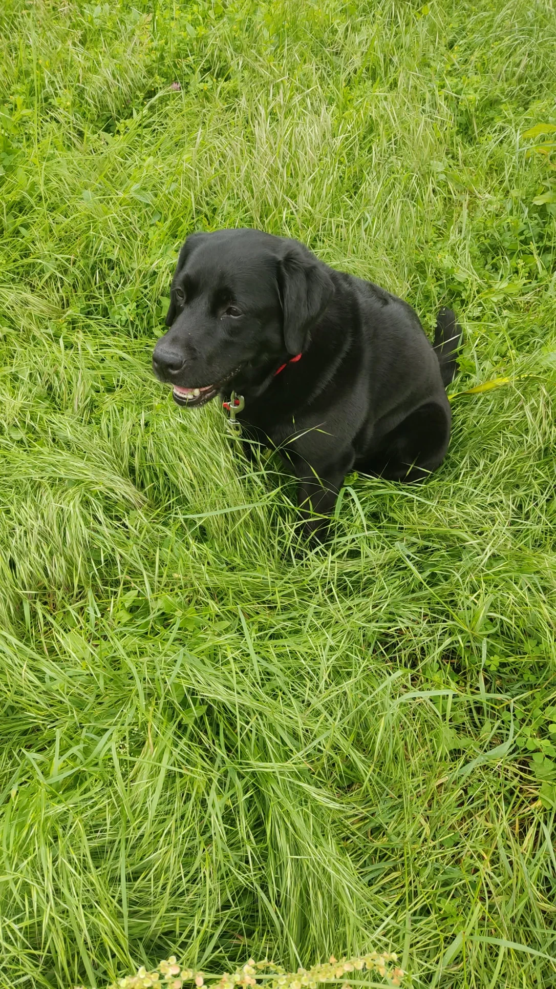image-6
