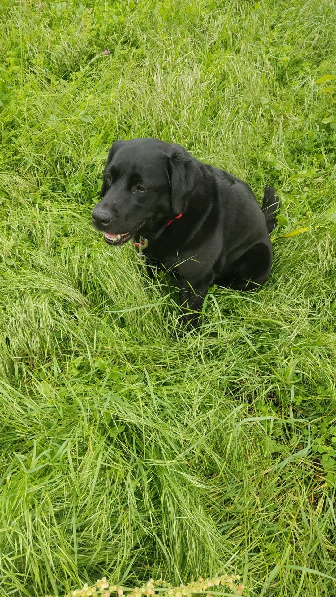 image-6