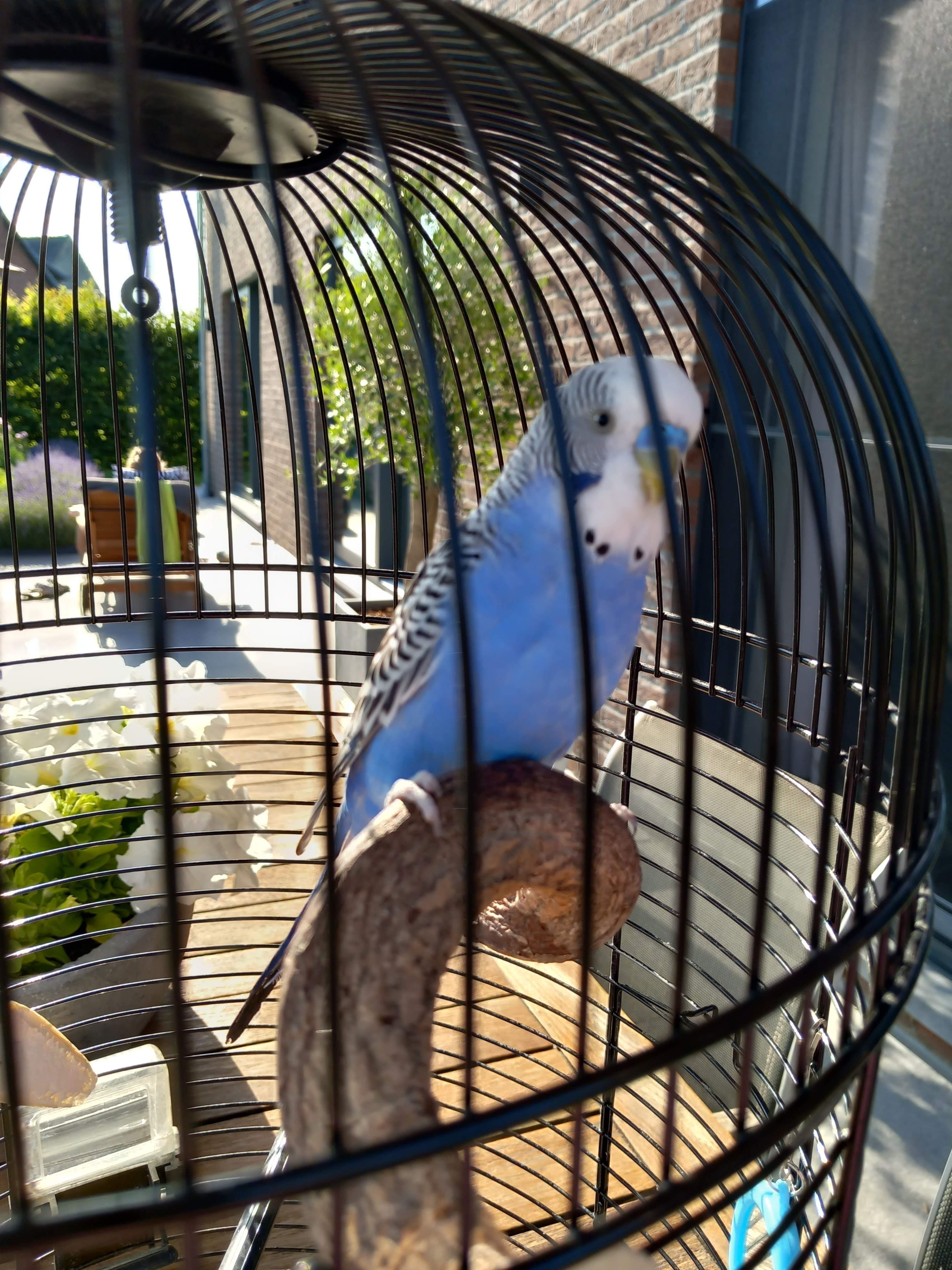 image-3