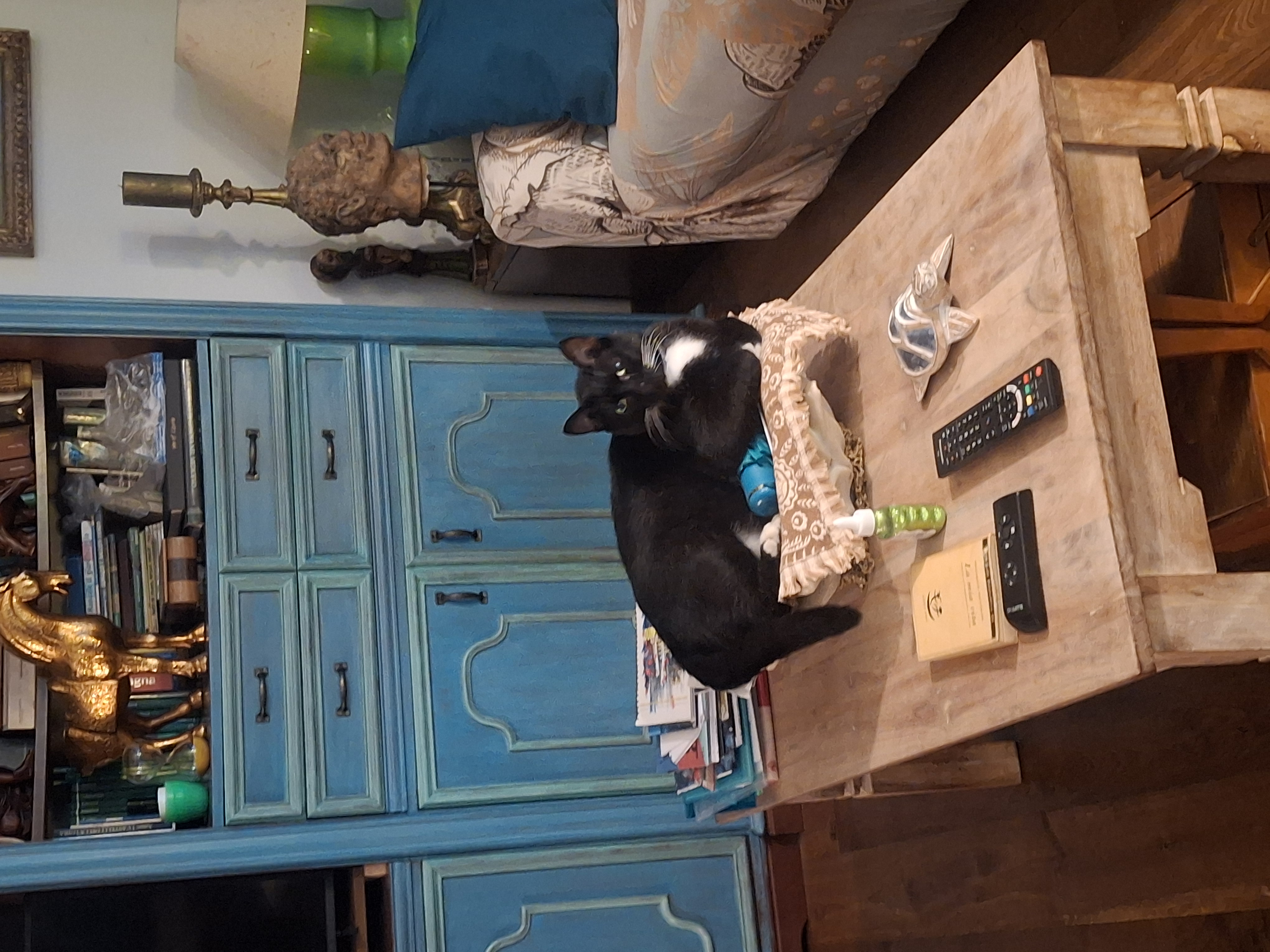 image-13
