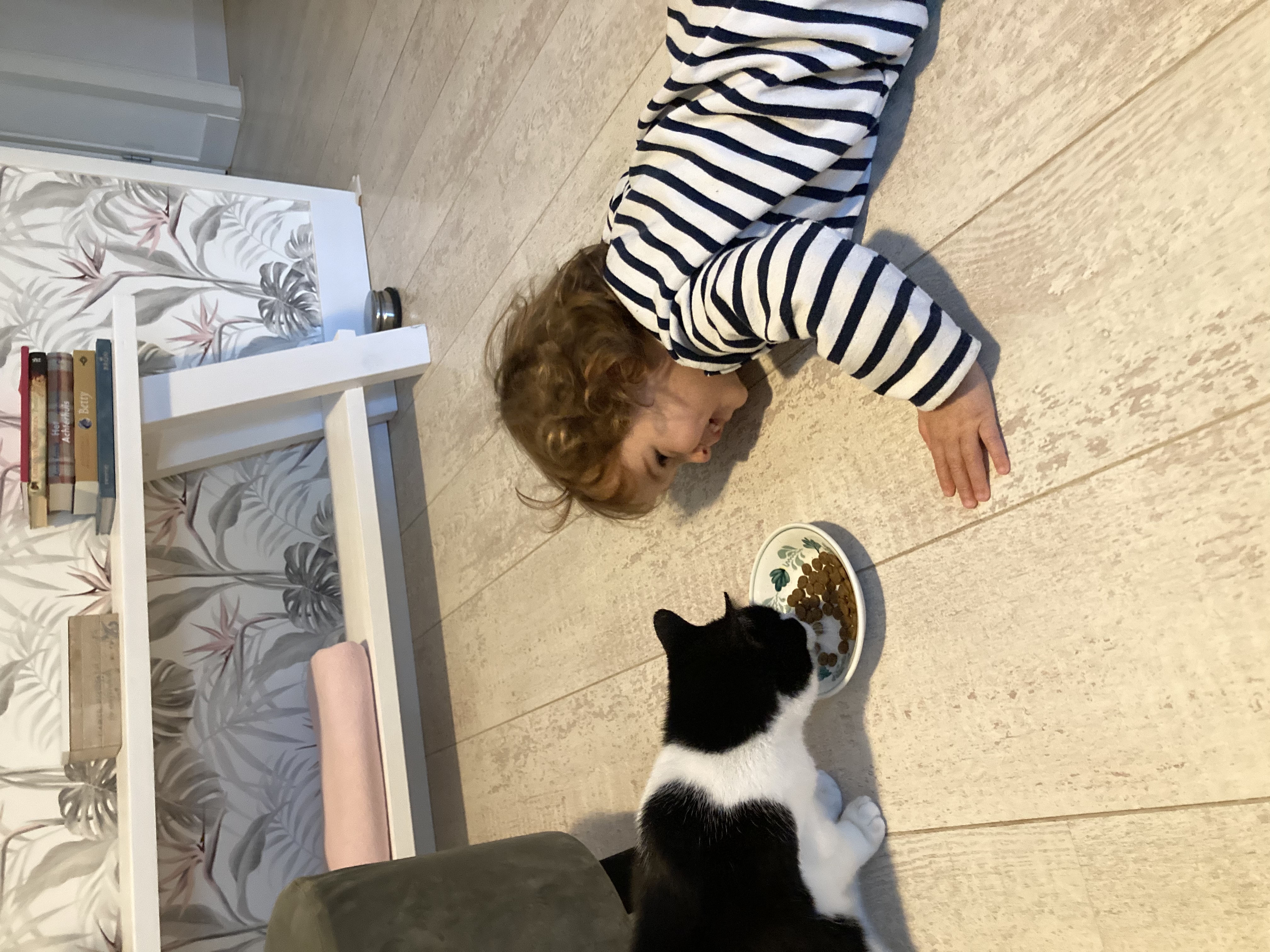image-10