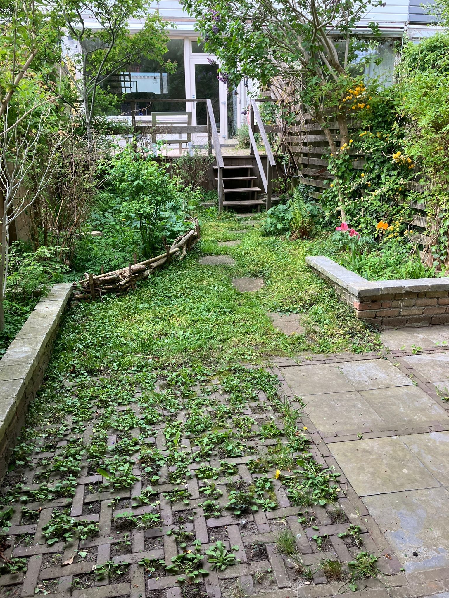 image-14