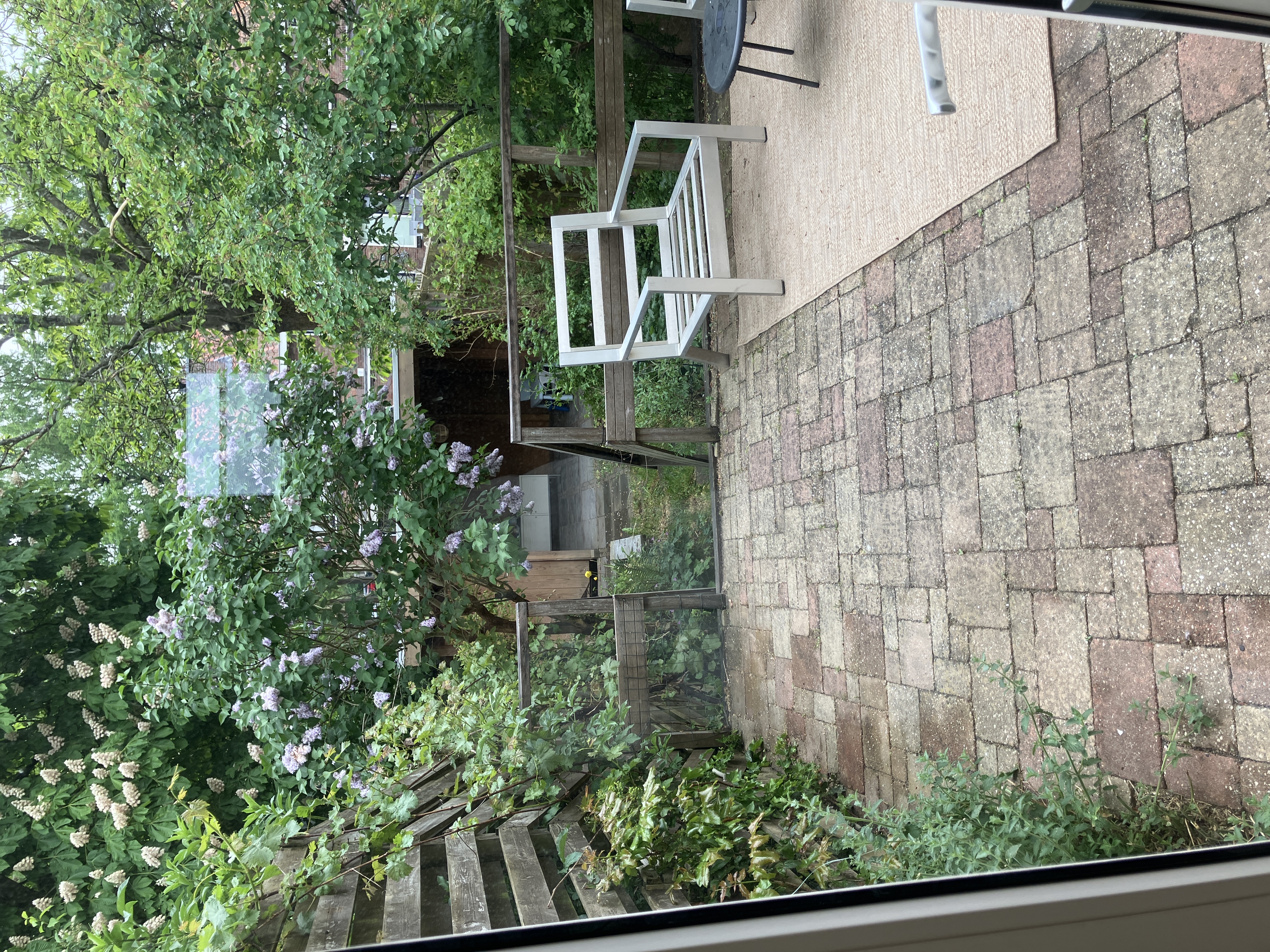 image-16