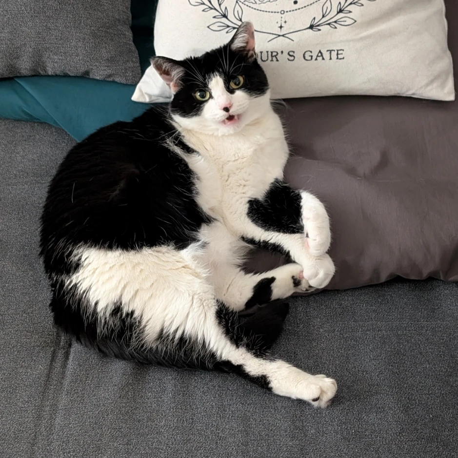 Luna 