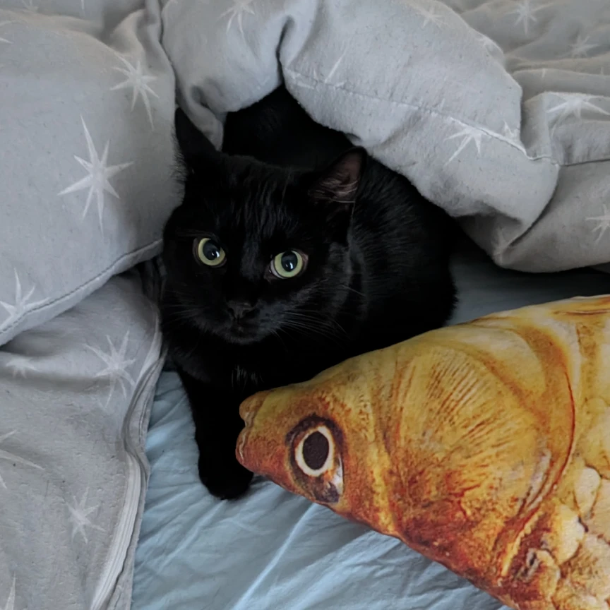 Salem 