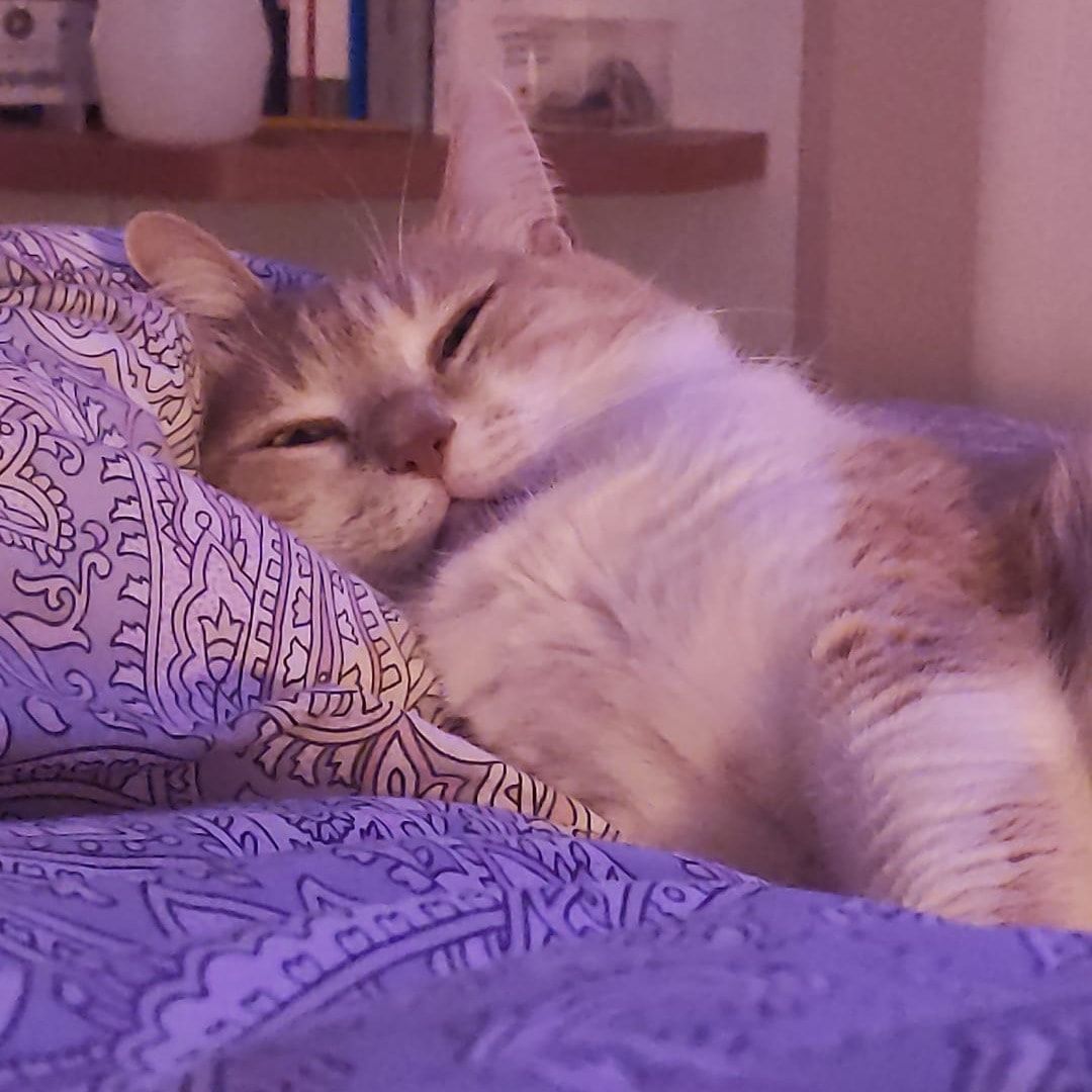 King