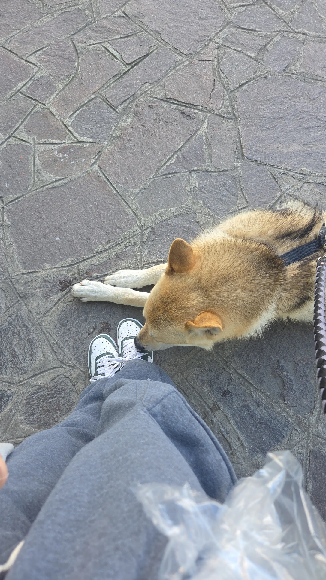 image-10