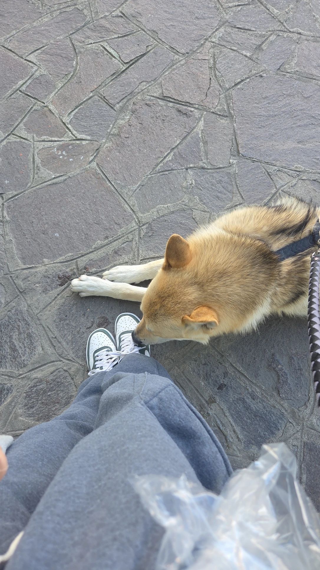 image-10