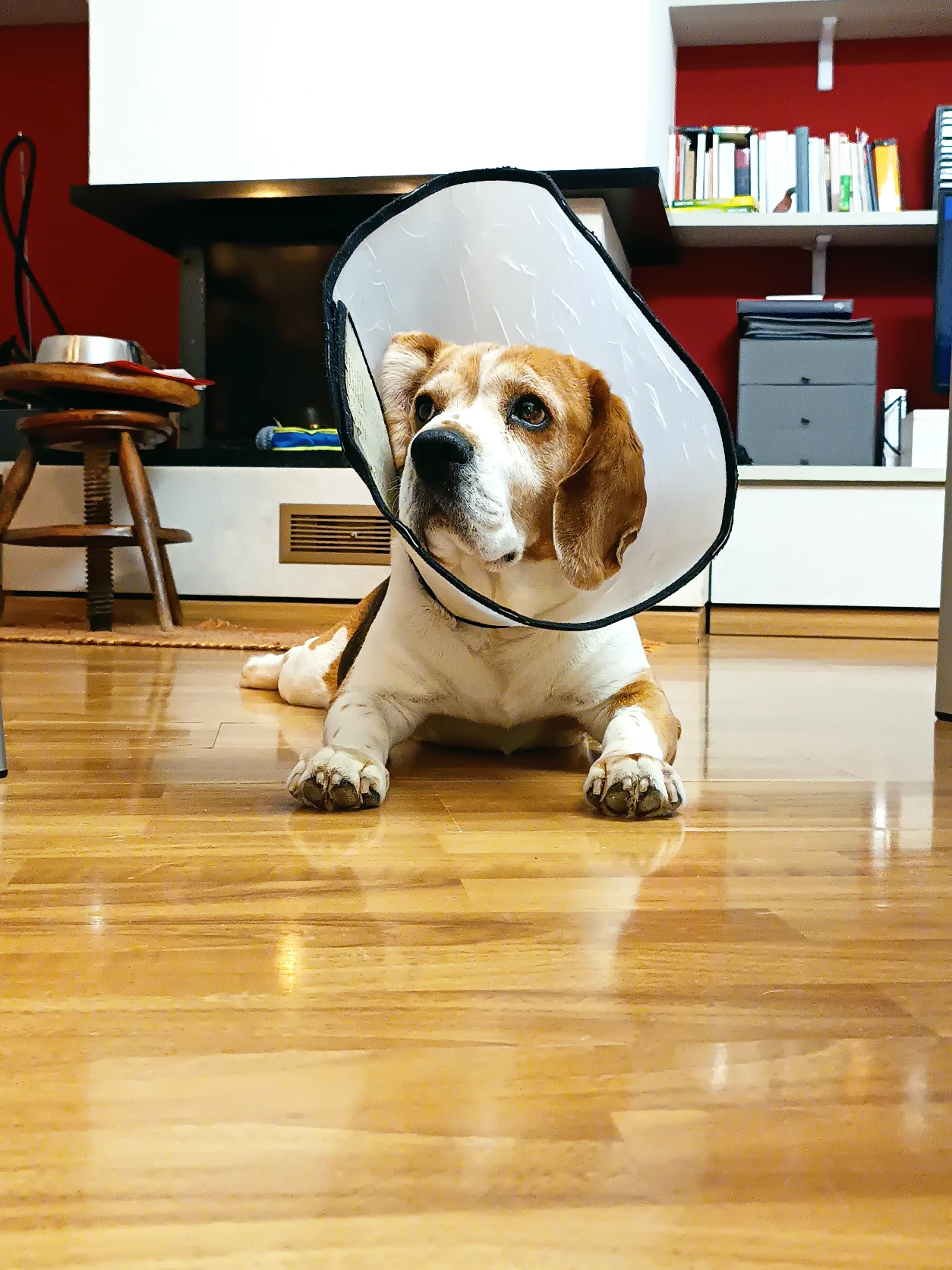 image-11