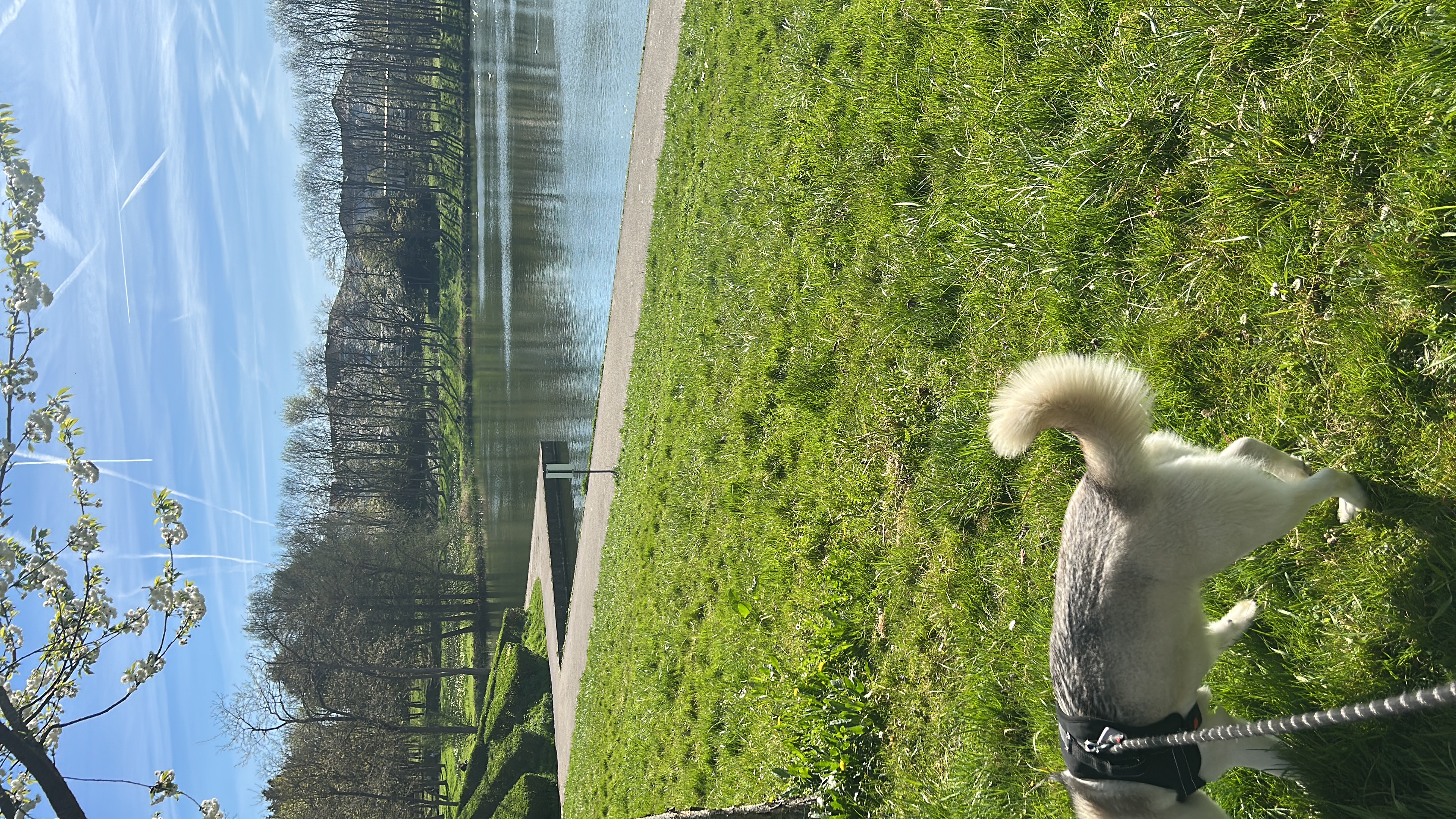 image-19