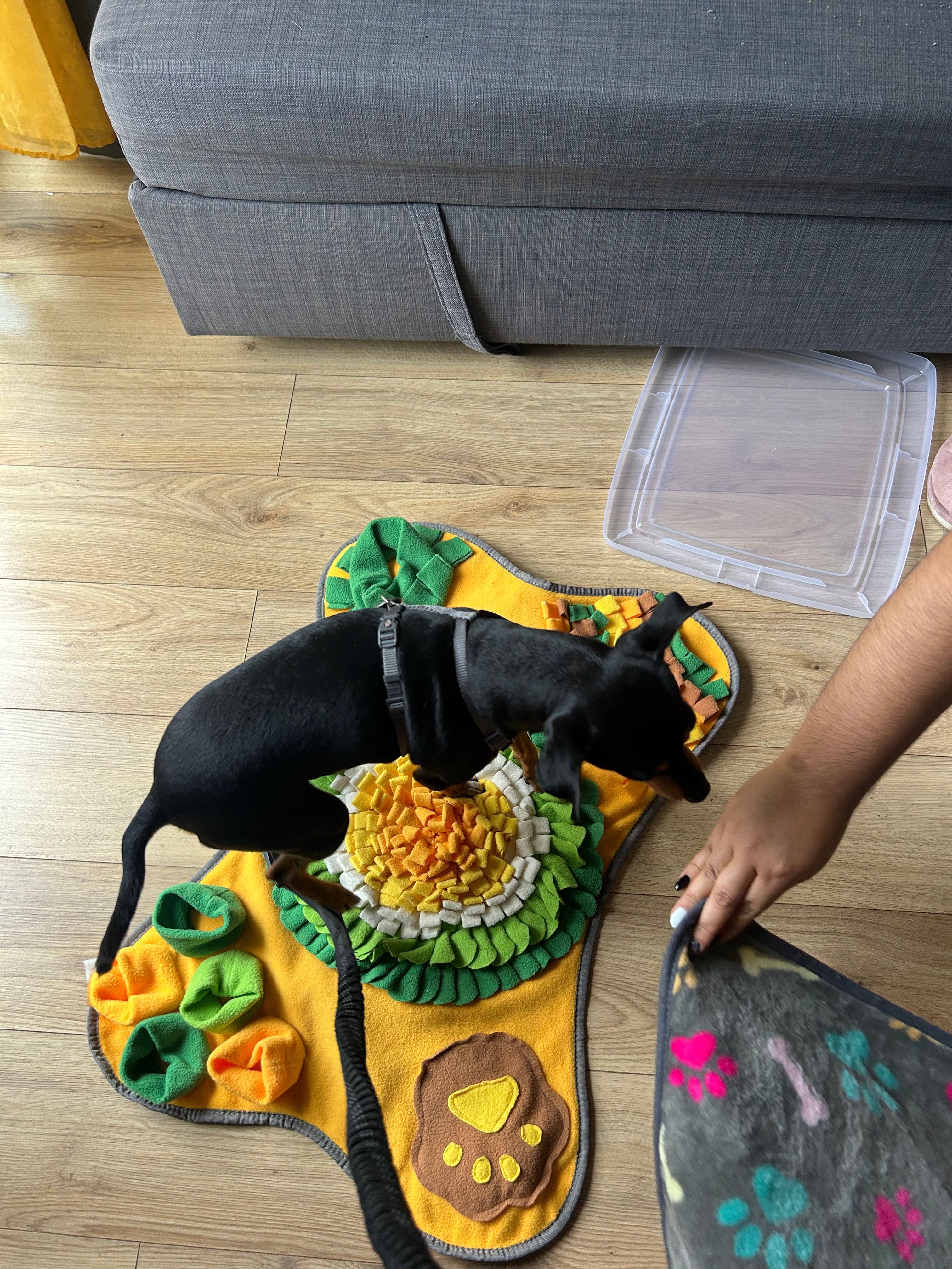 image-28