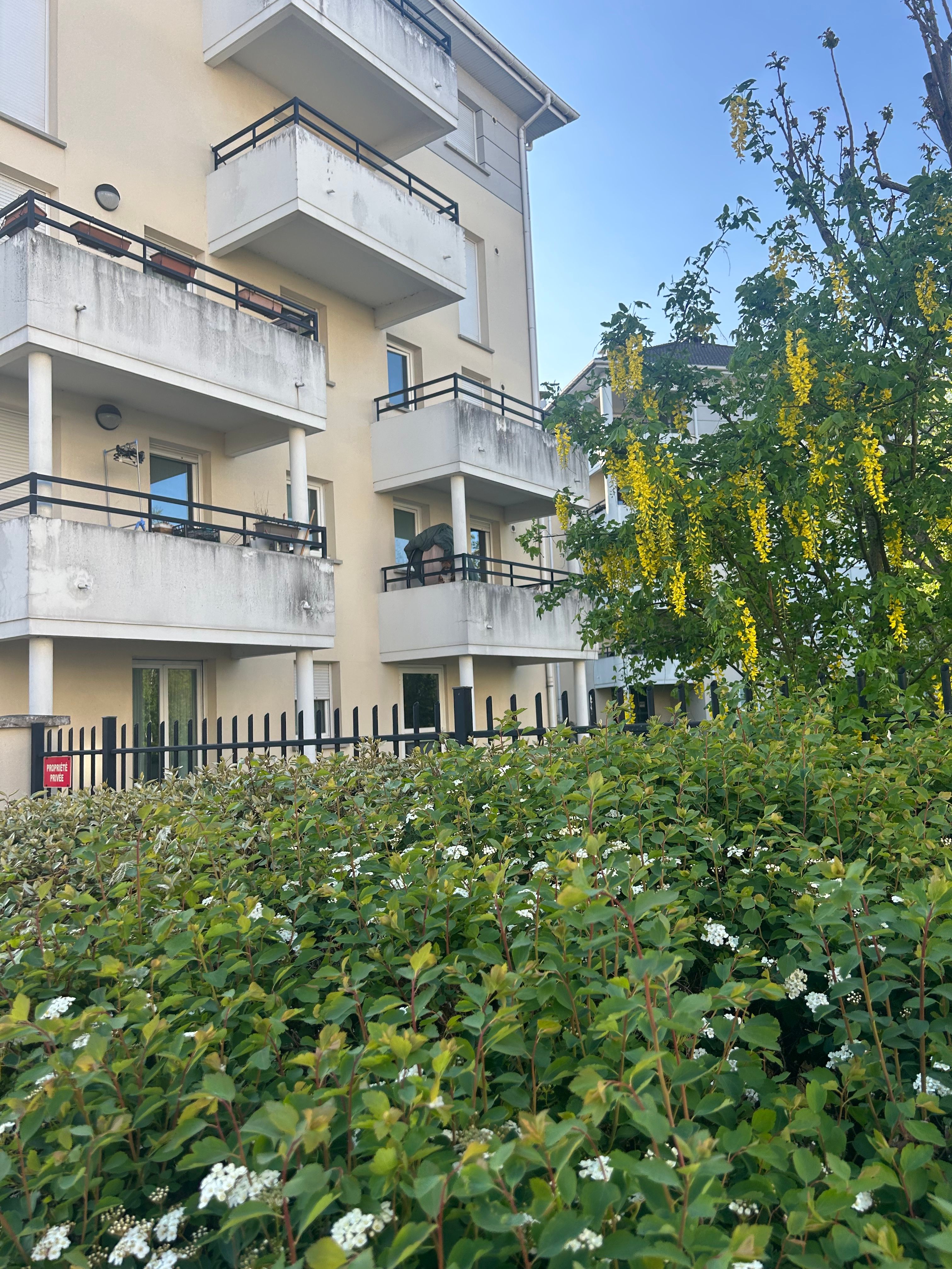 image-17