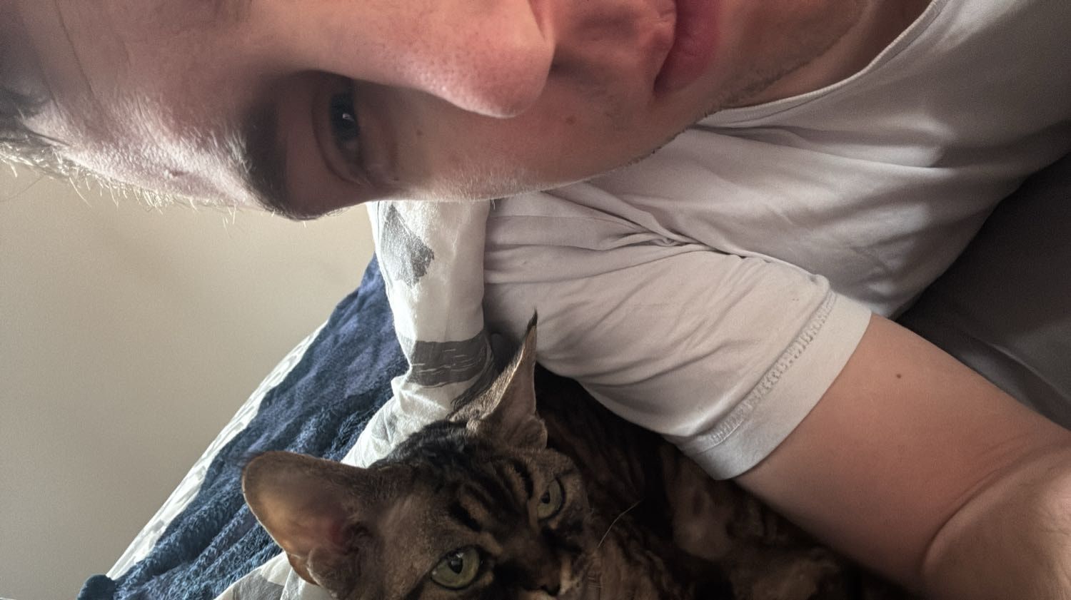 image-7