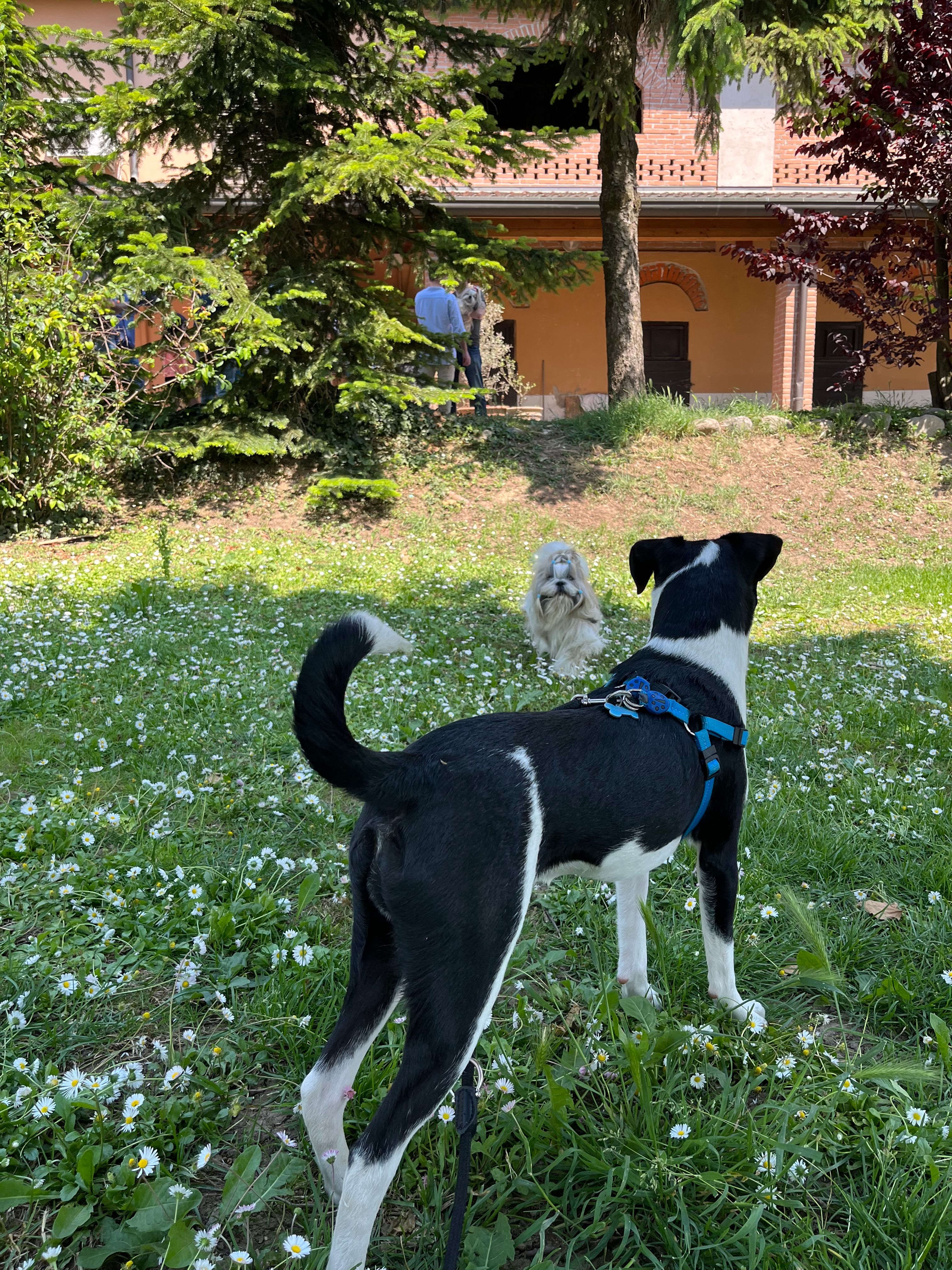image-14