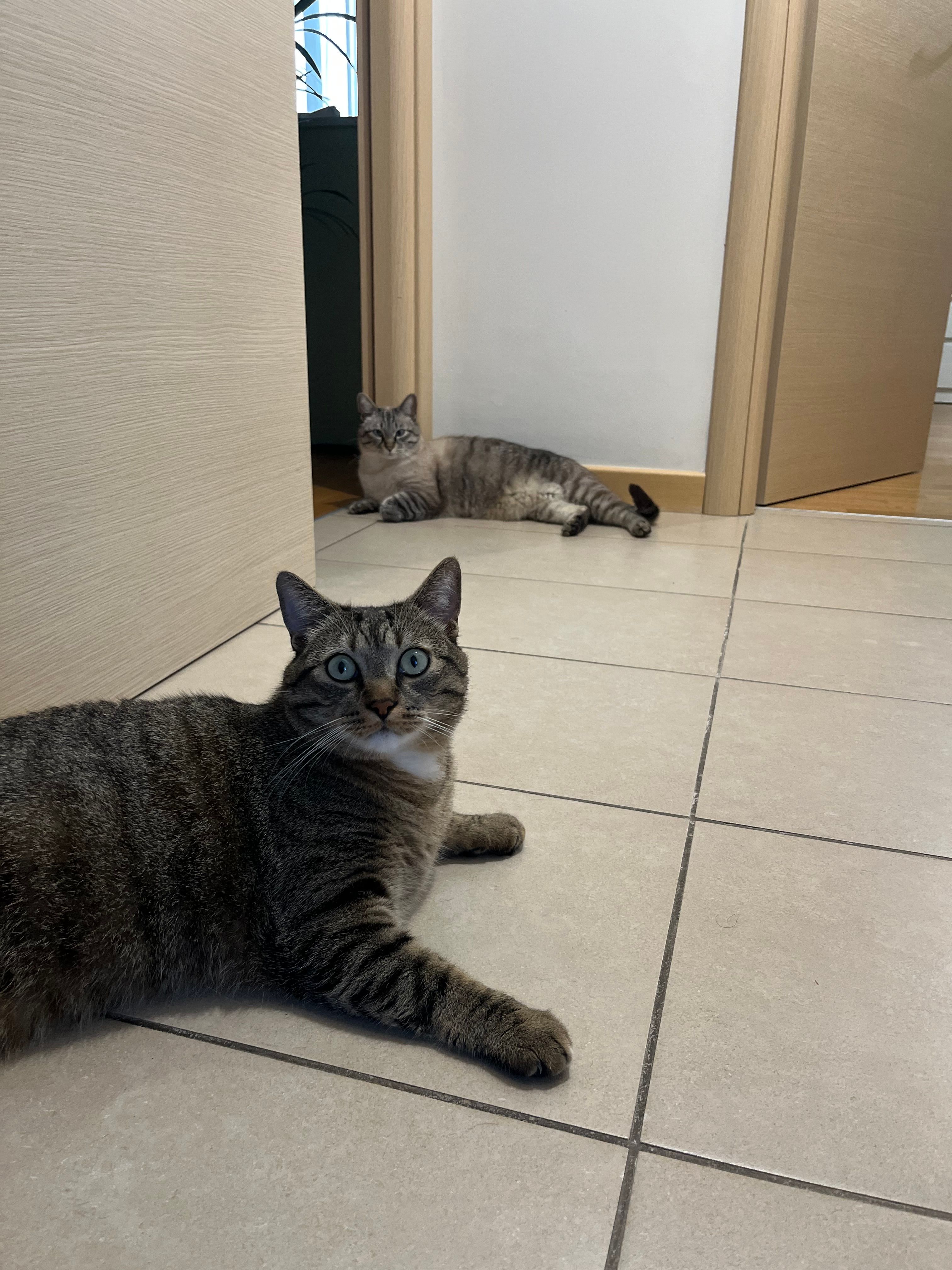 image-12