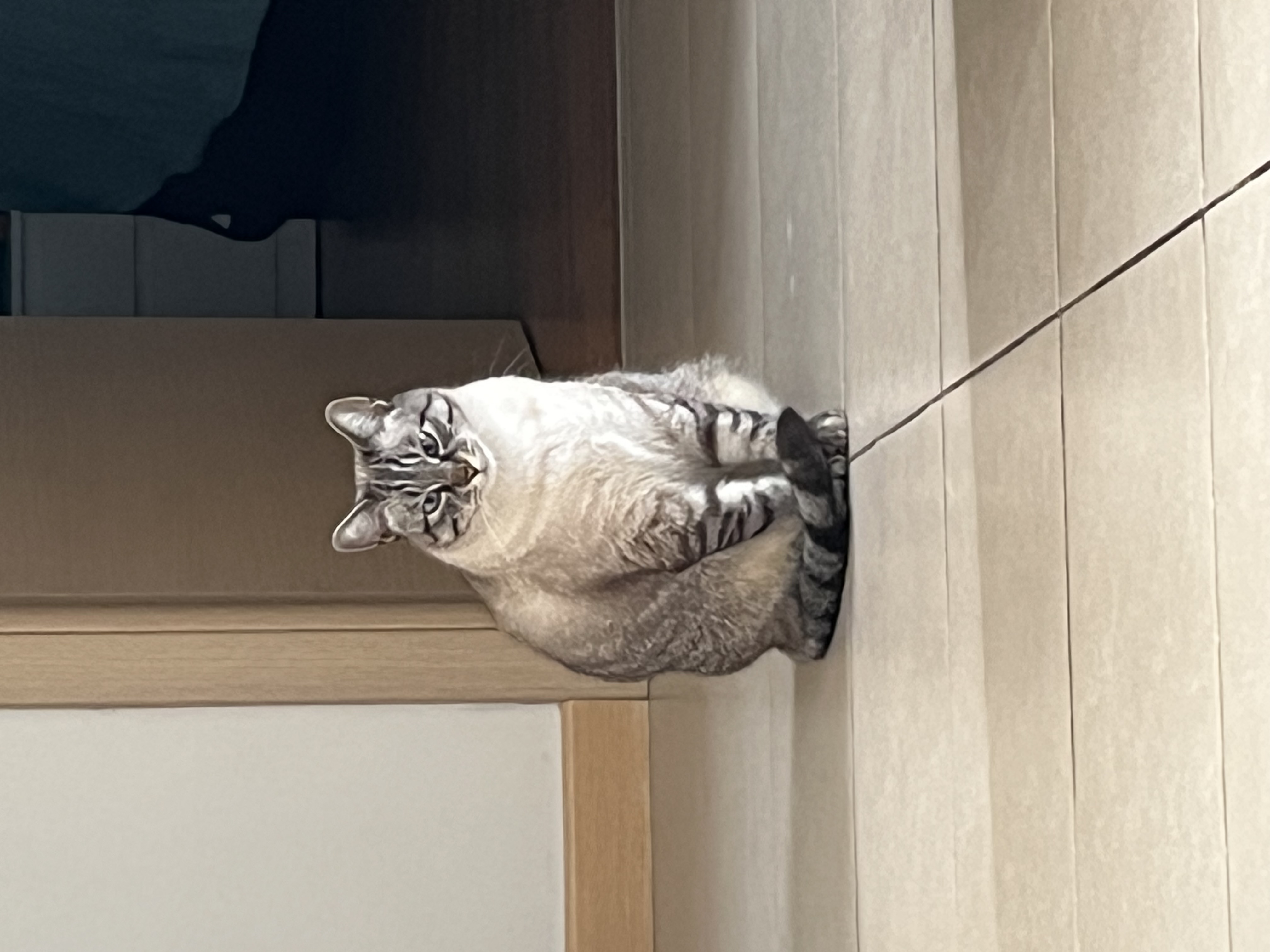 image-13
