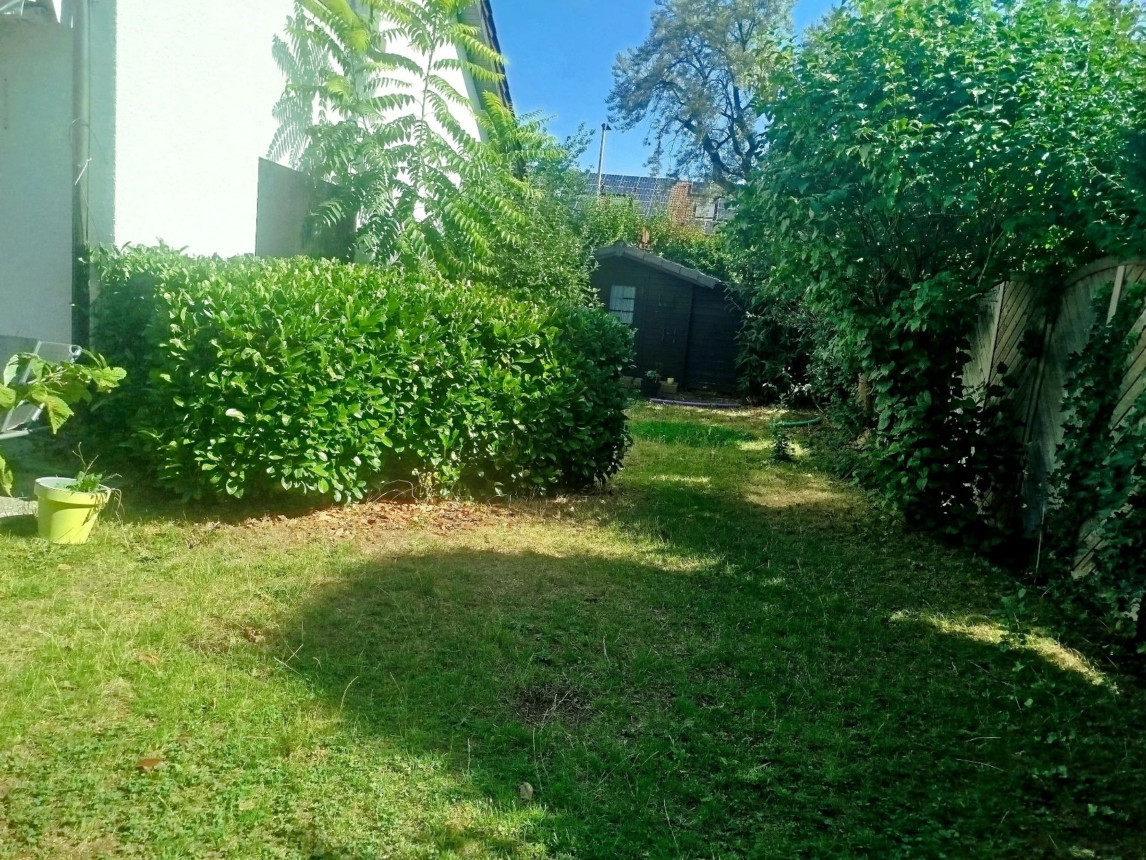 image-15