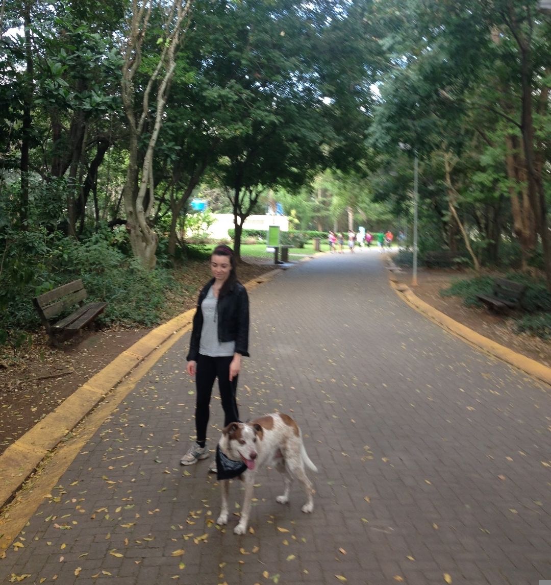 image-8