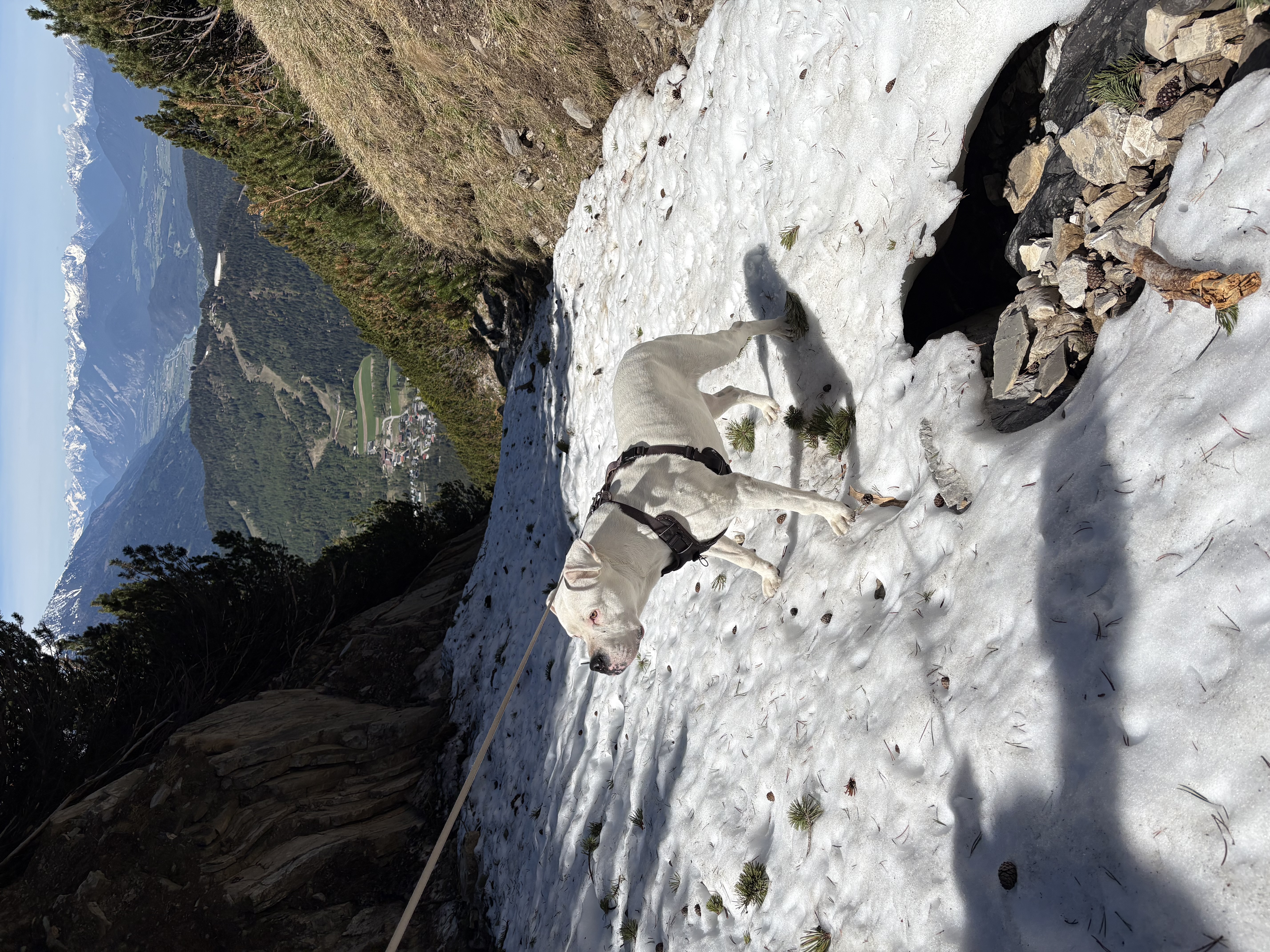 image-8