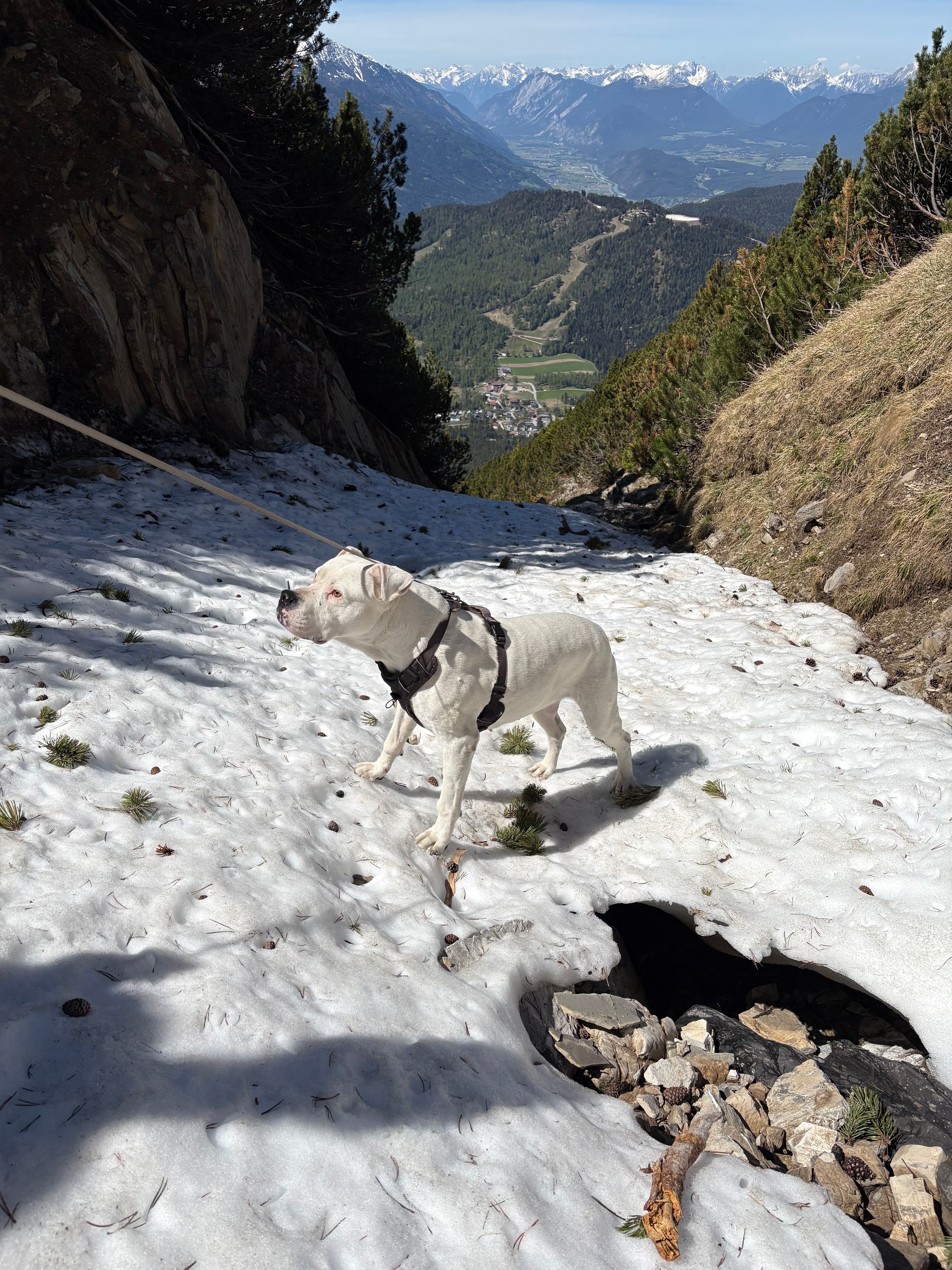 image-8