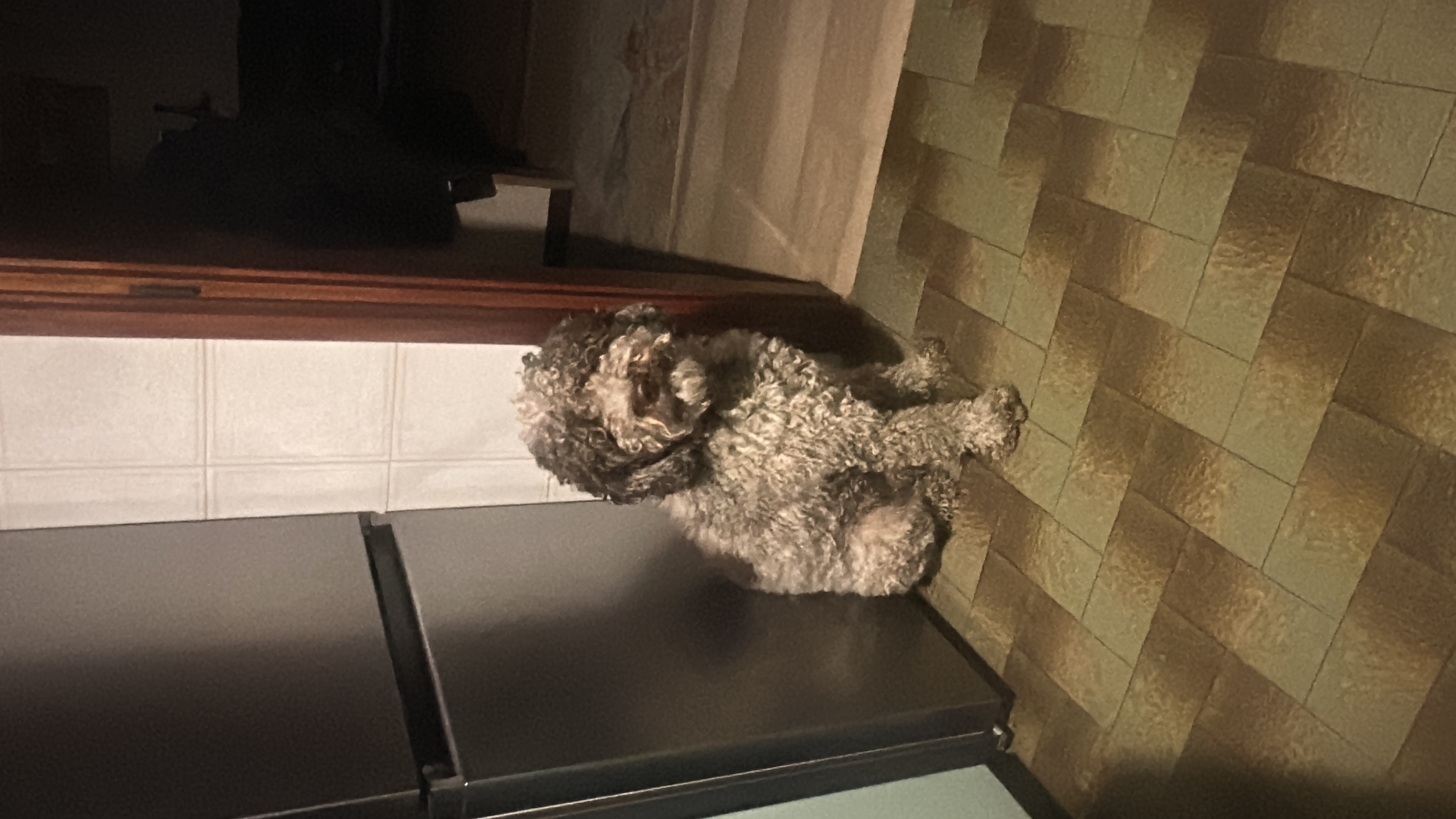 image-6