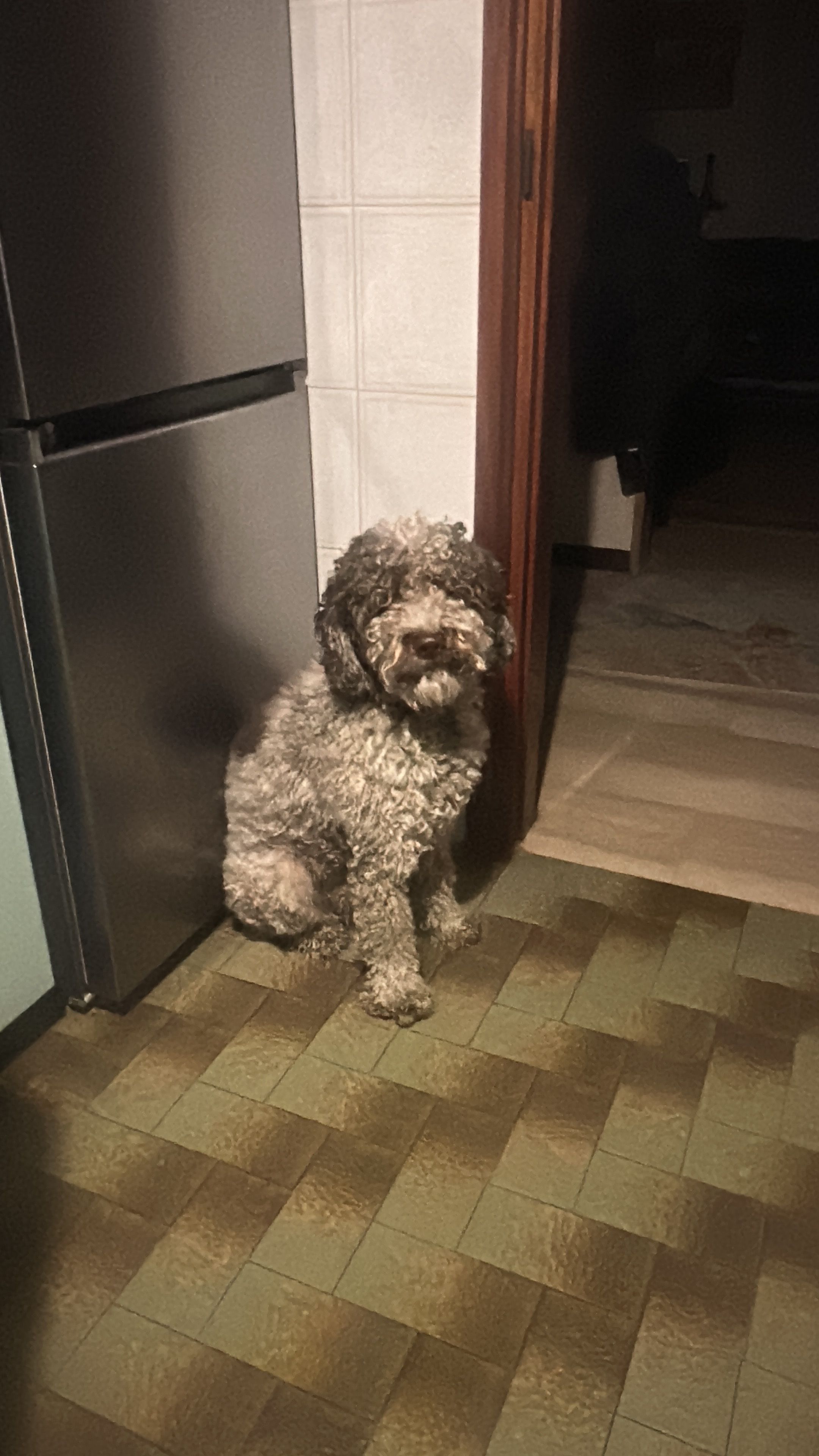 image-6
