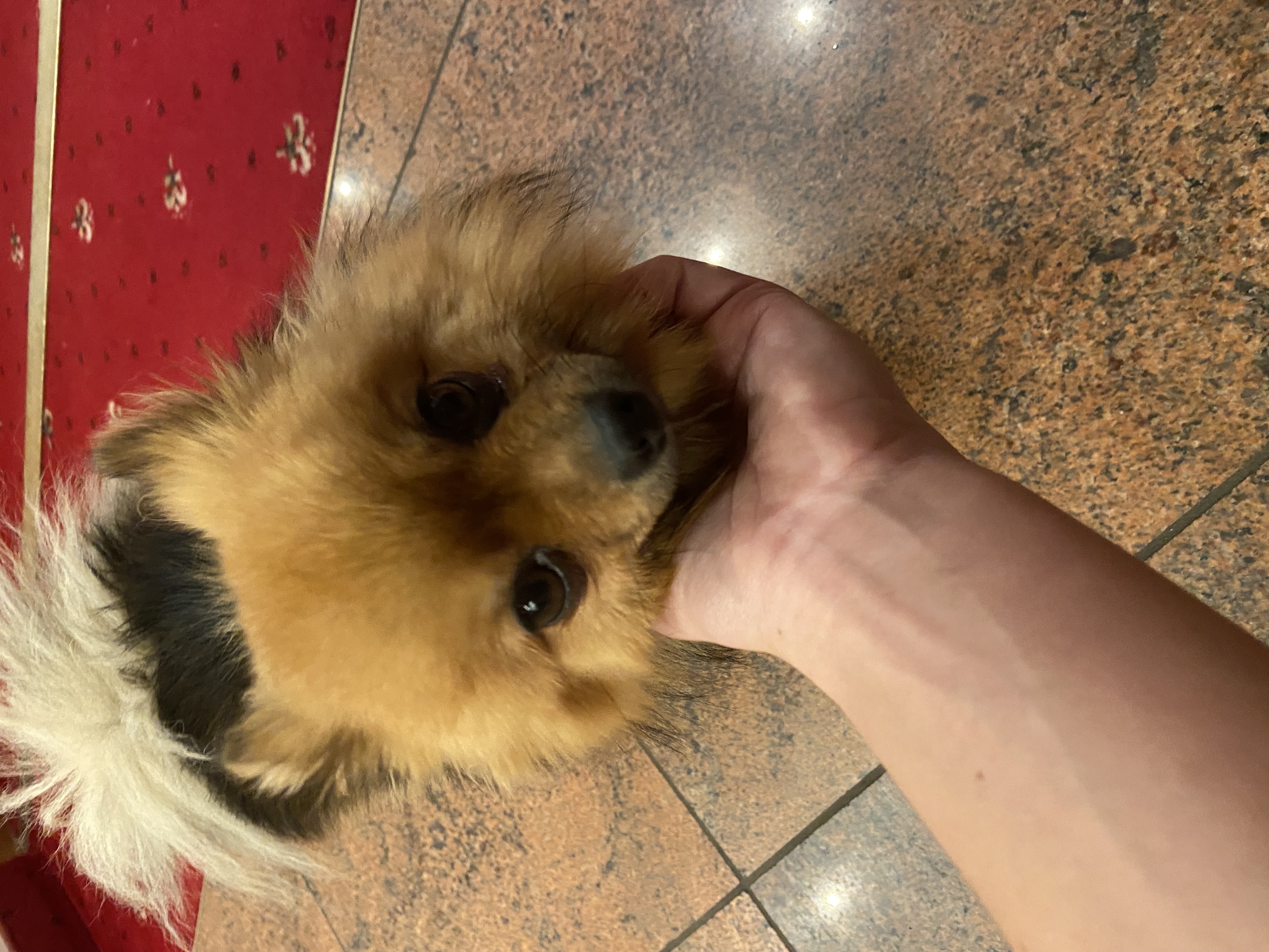 image-6