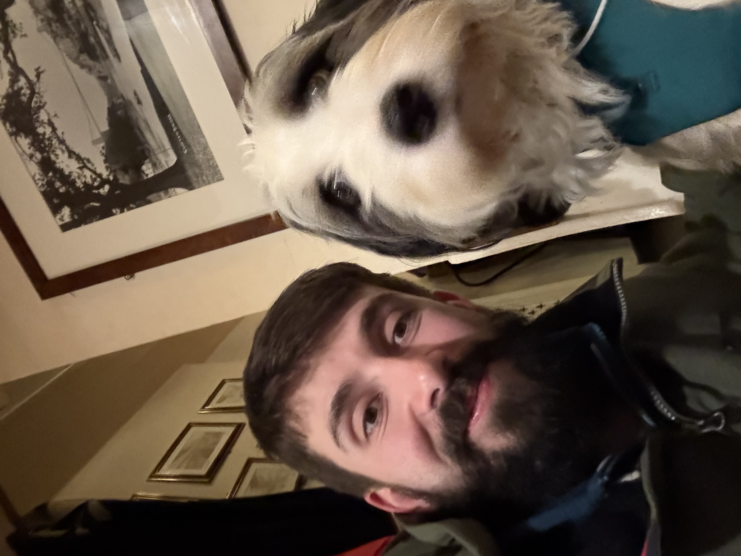 image-9