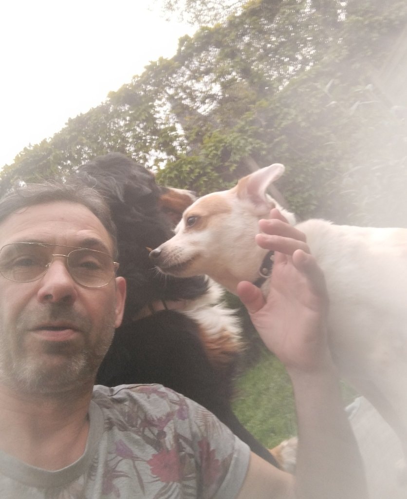 image-17
