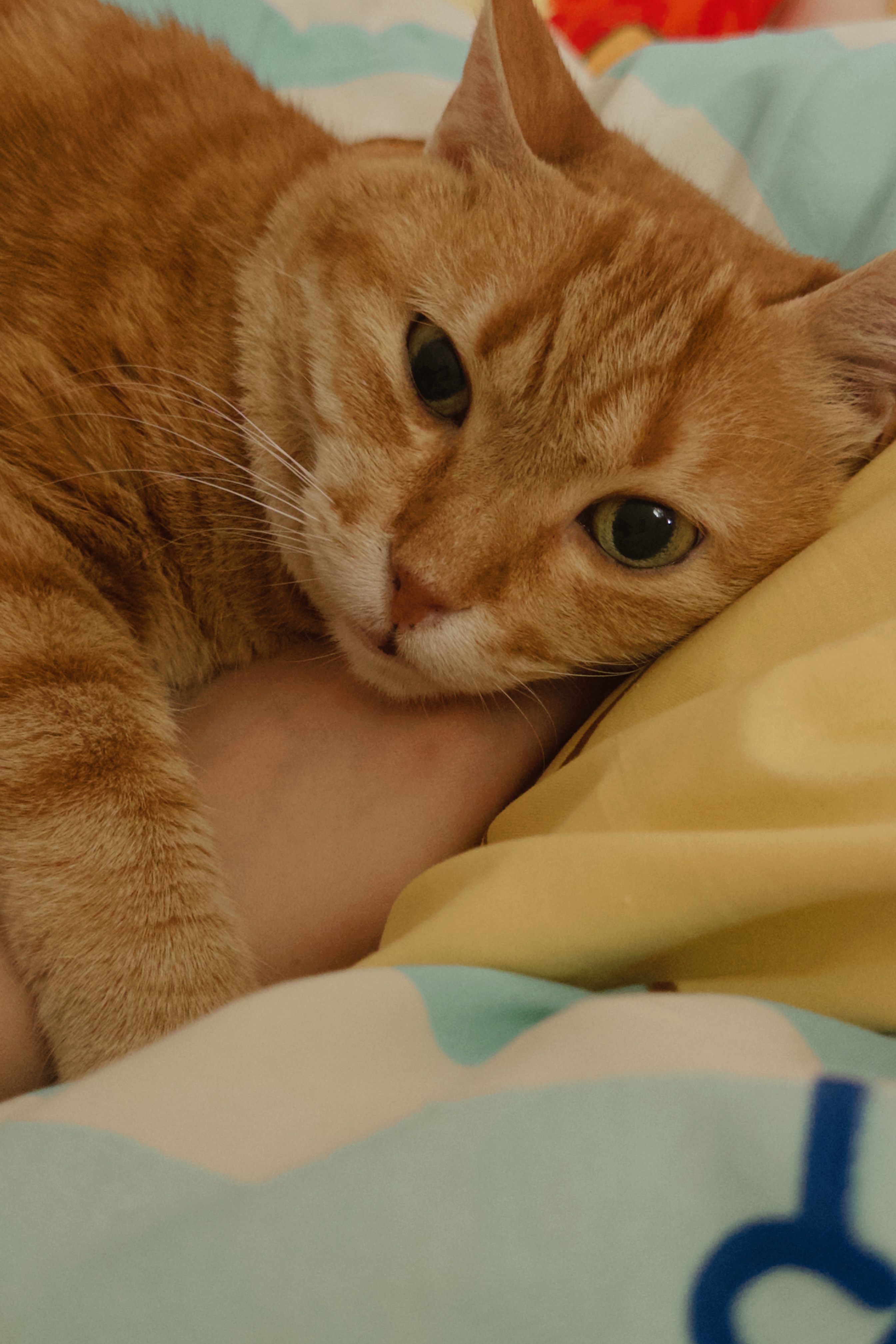 image-8