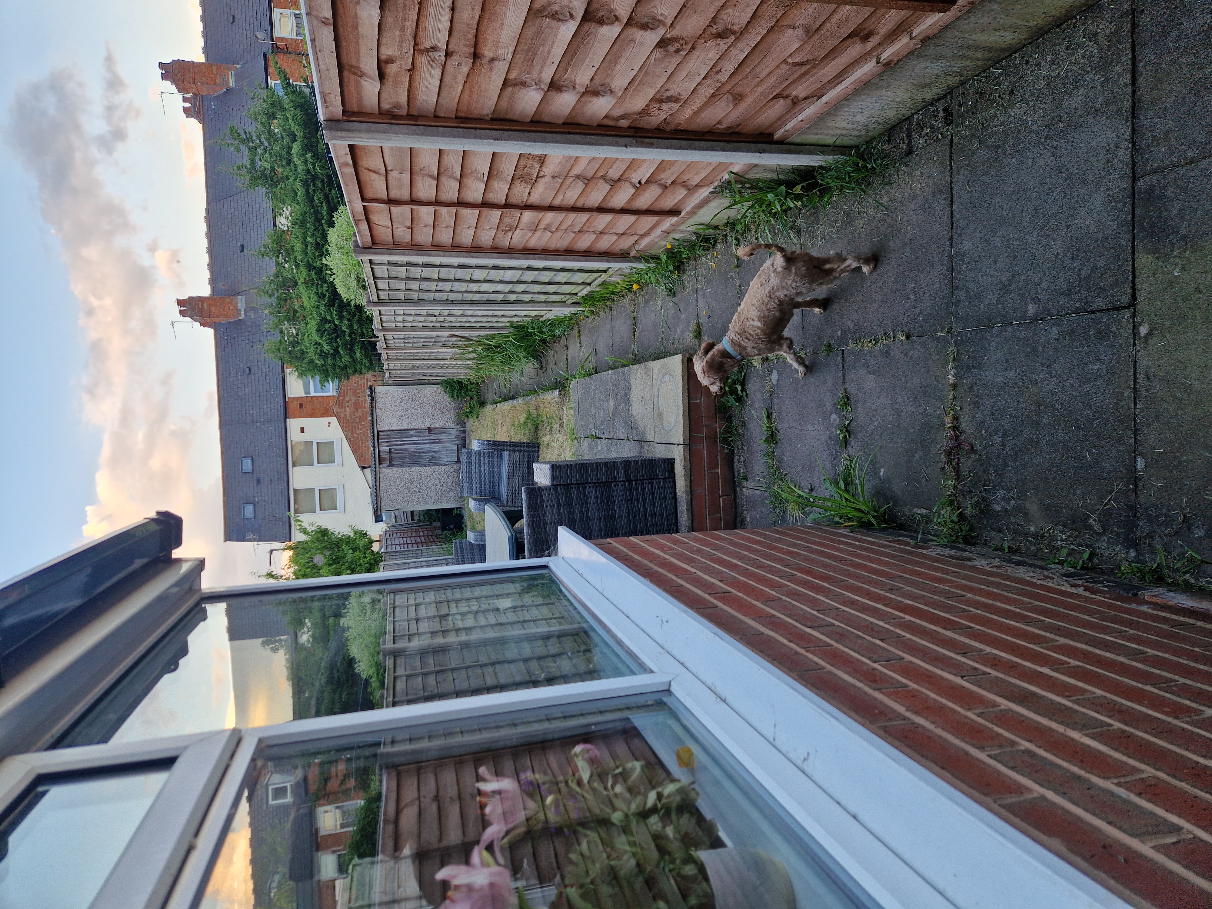 image-9