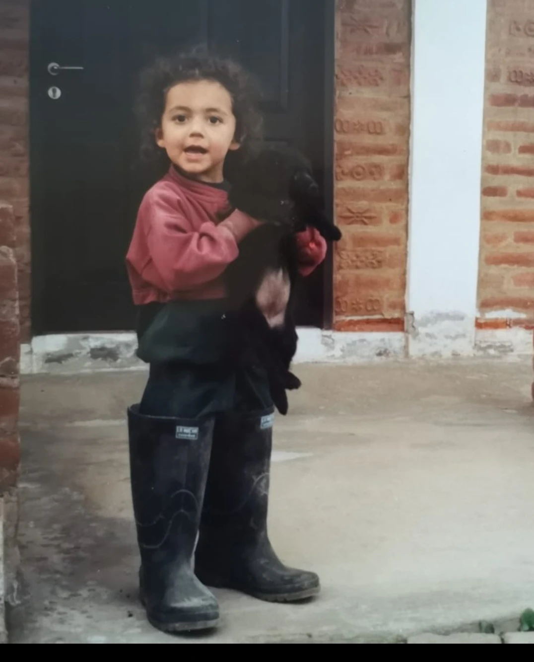 image-11