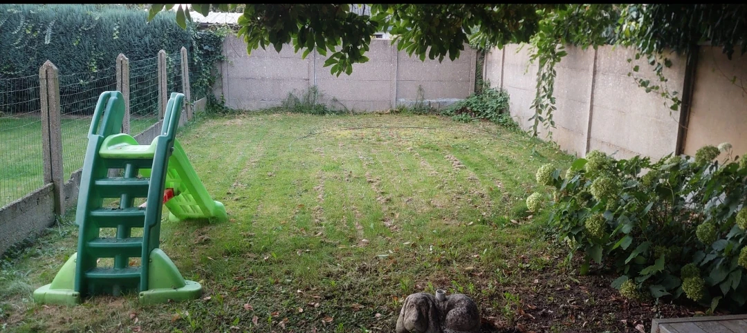 image-17