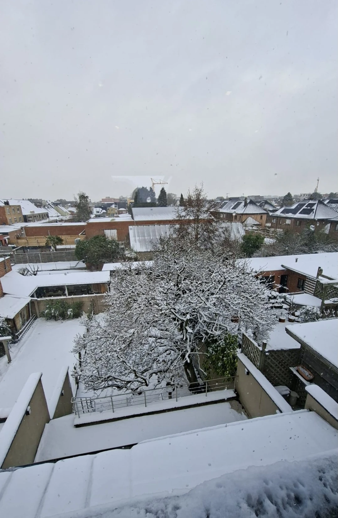 image-20