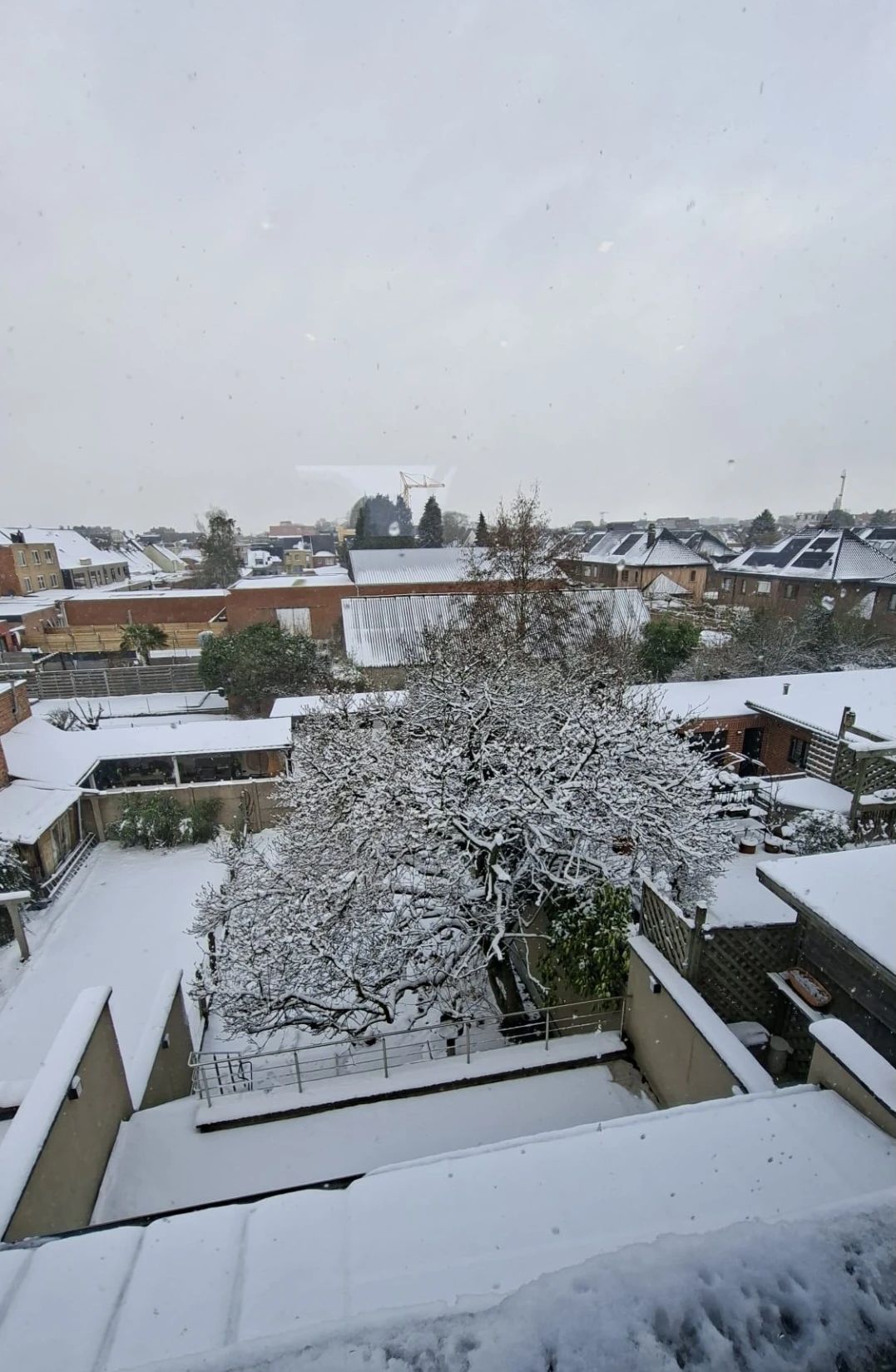 image-20