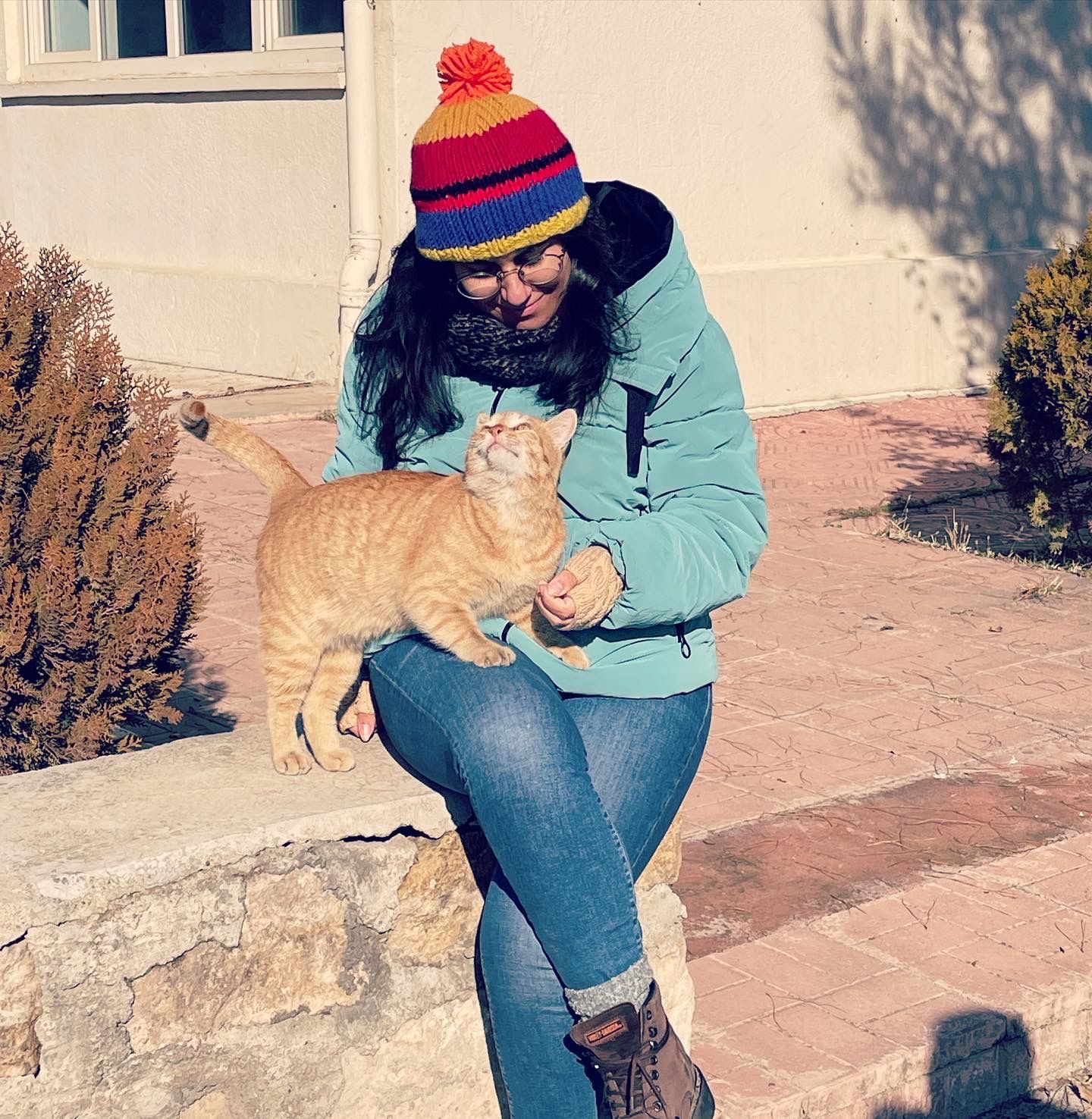 image-8