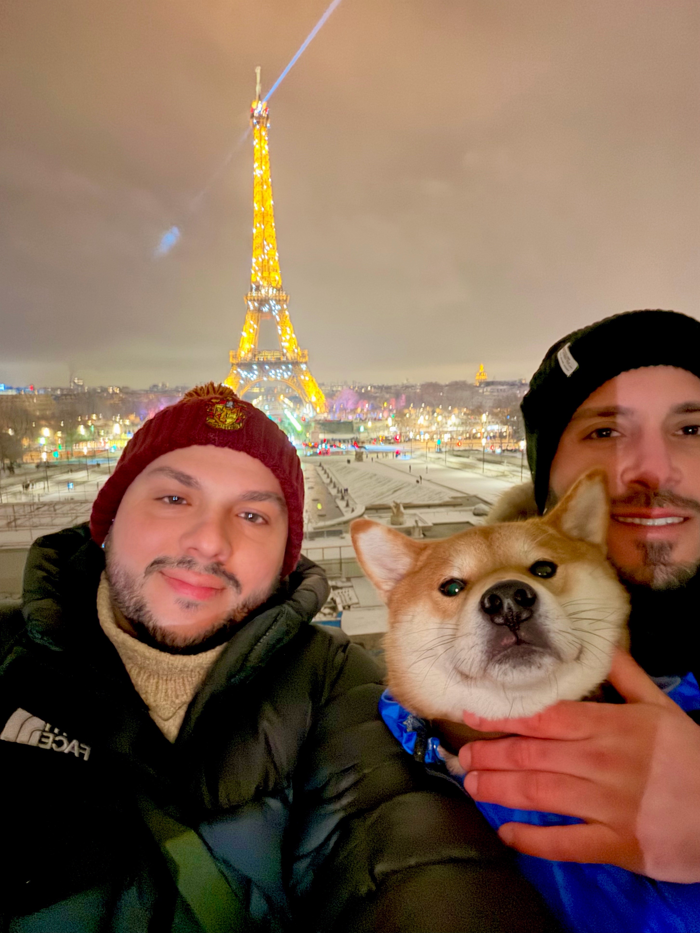 image-7
