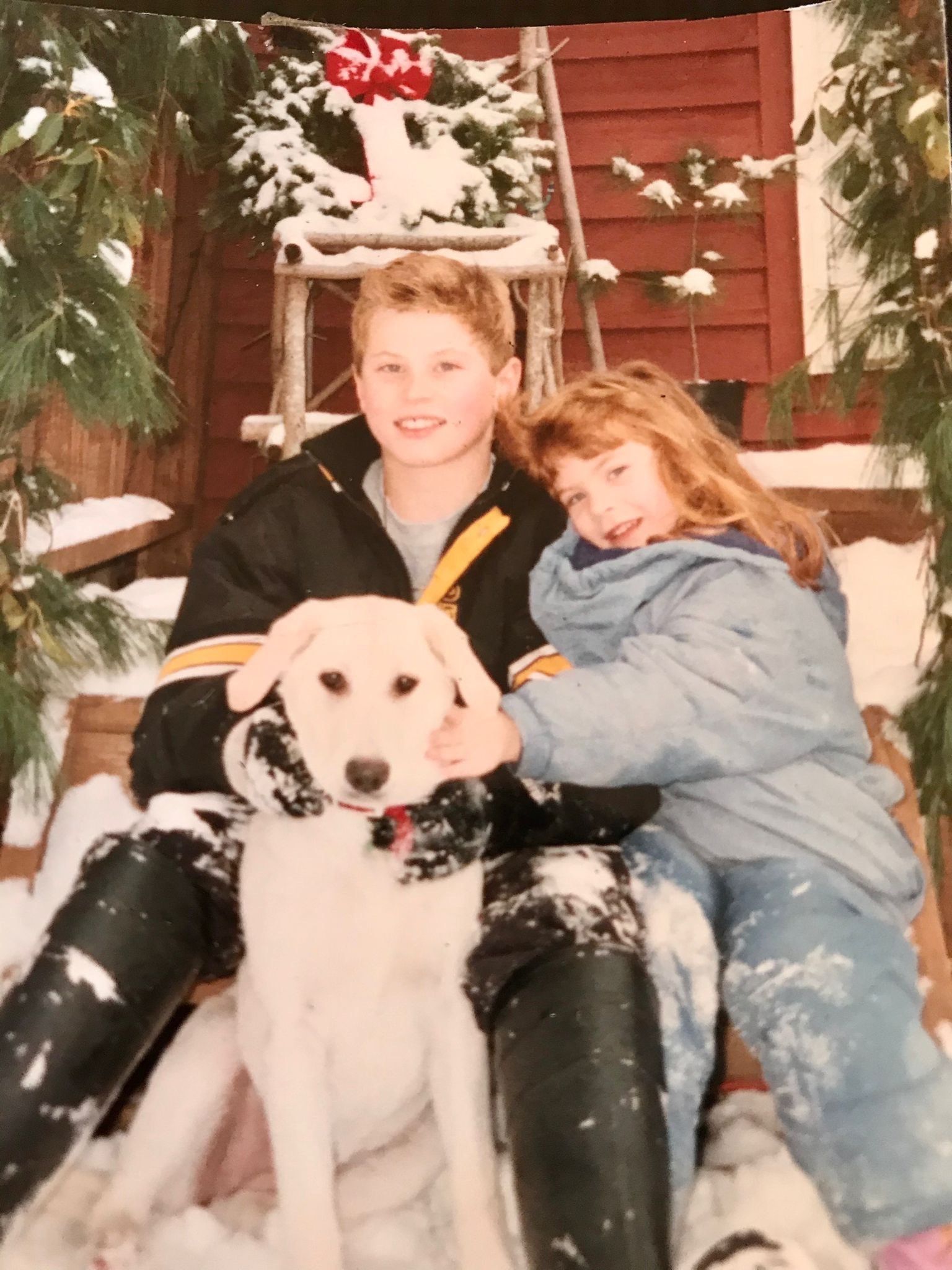 image-5