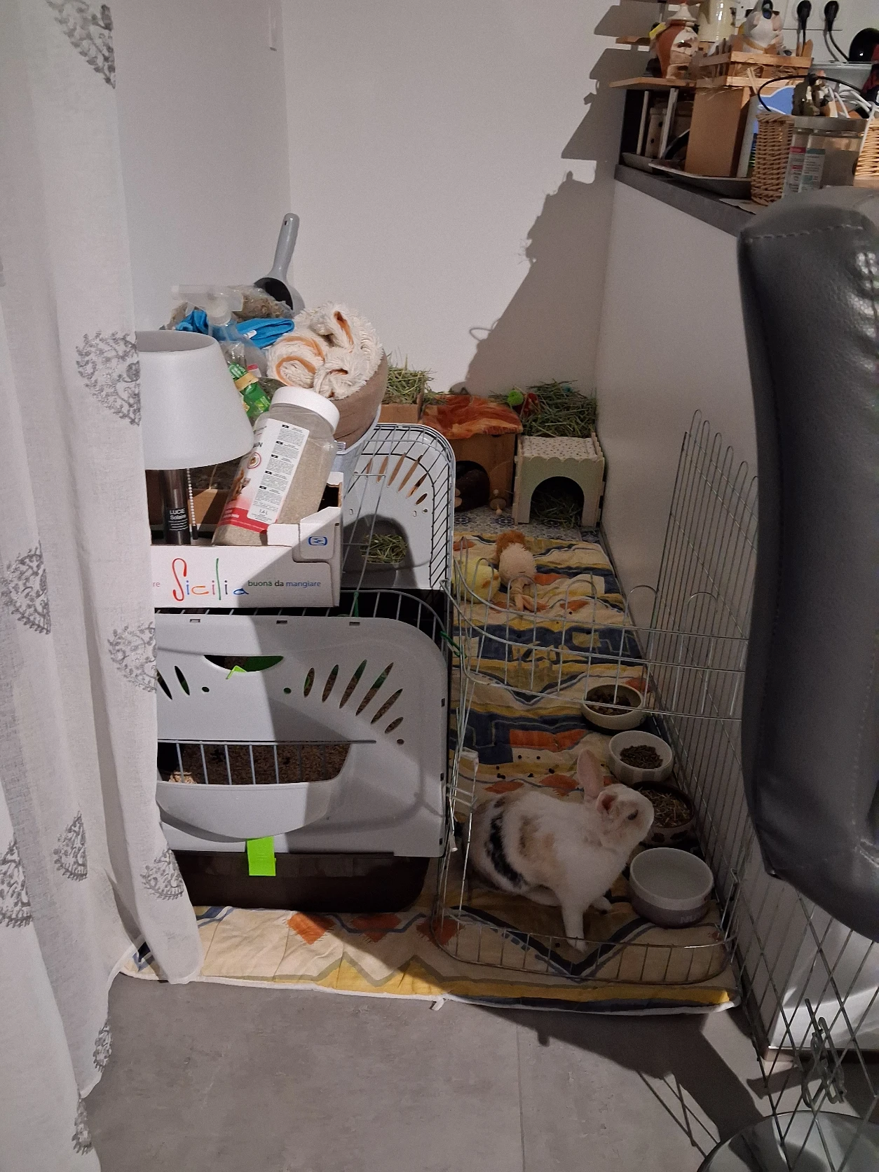 image-15