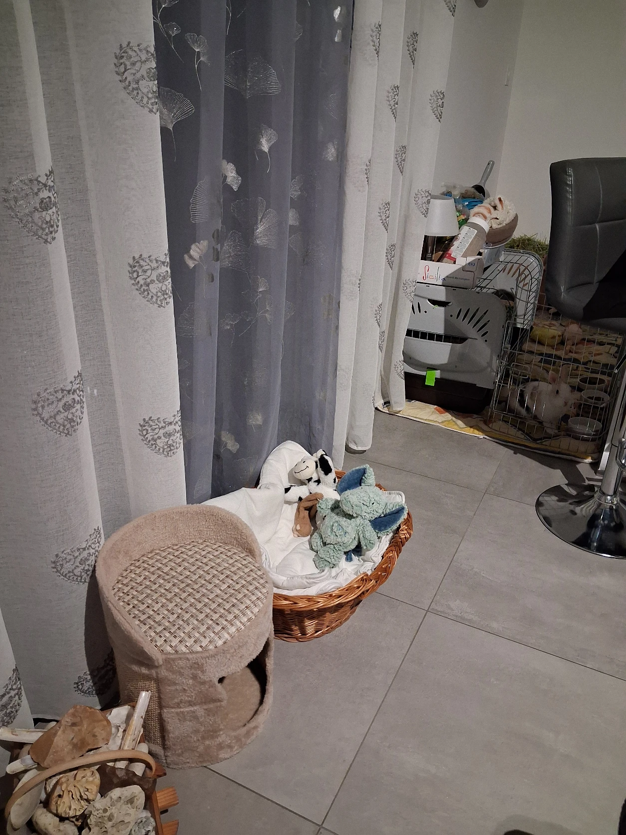 image-14