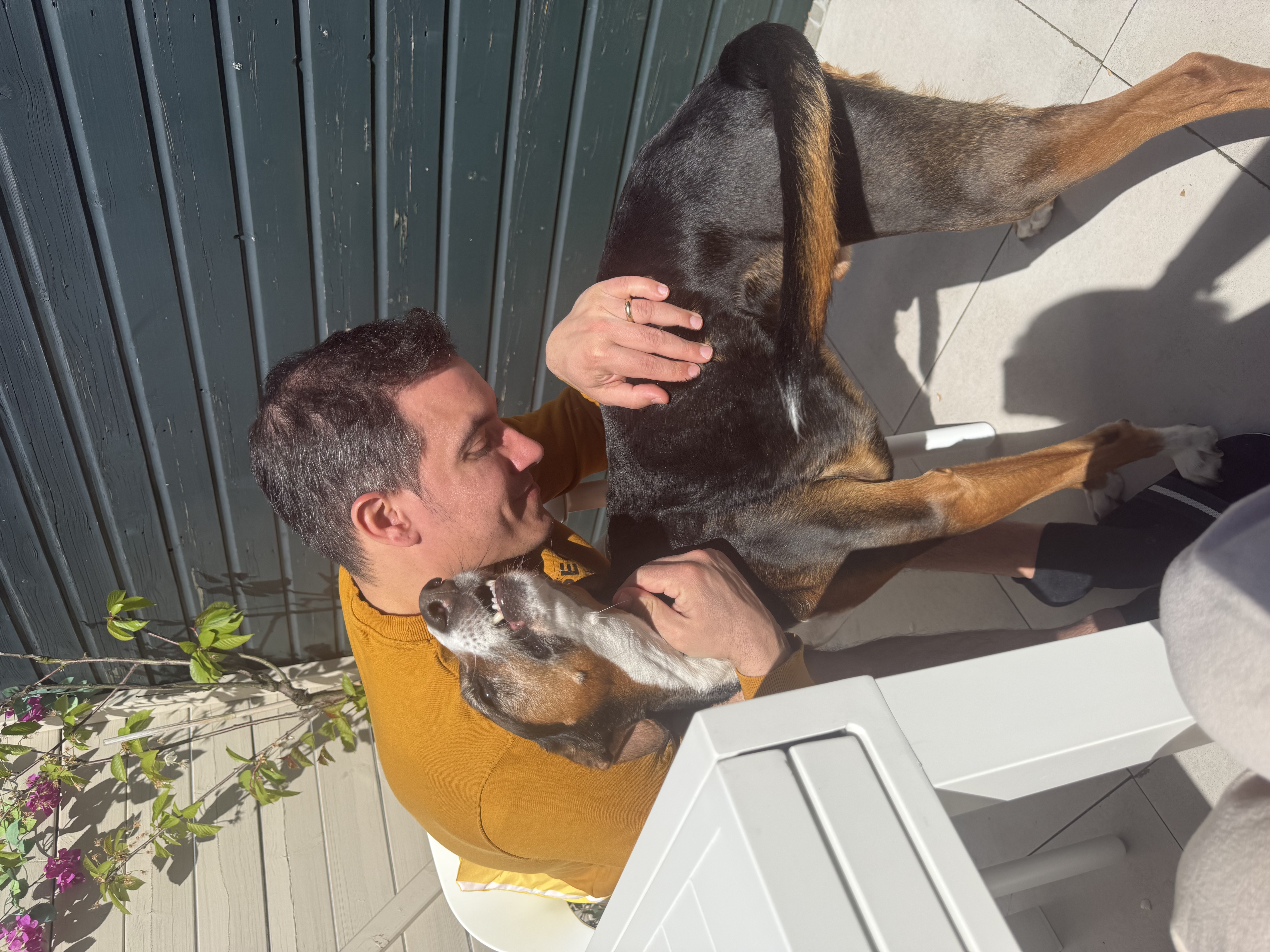 image-7
