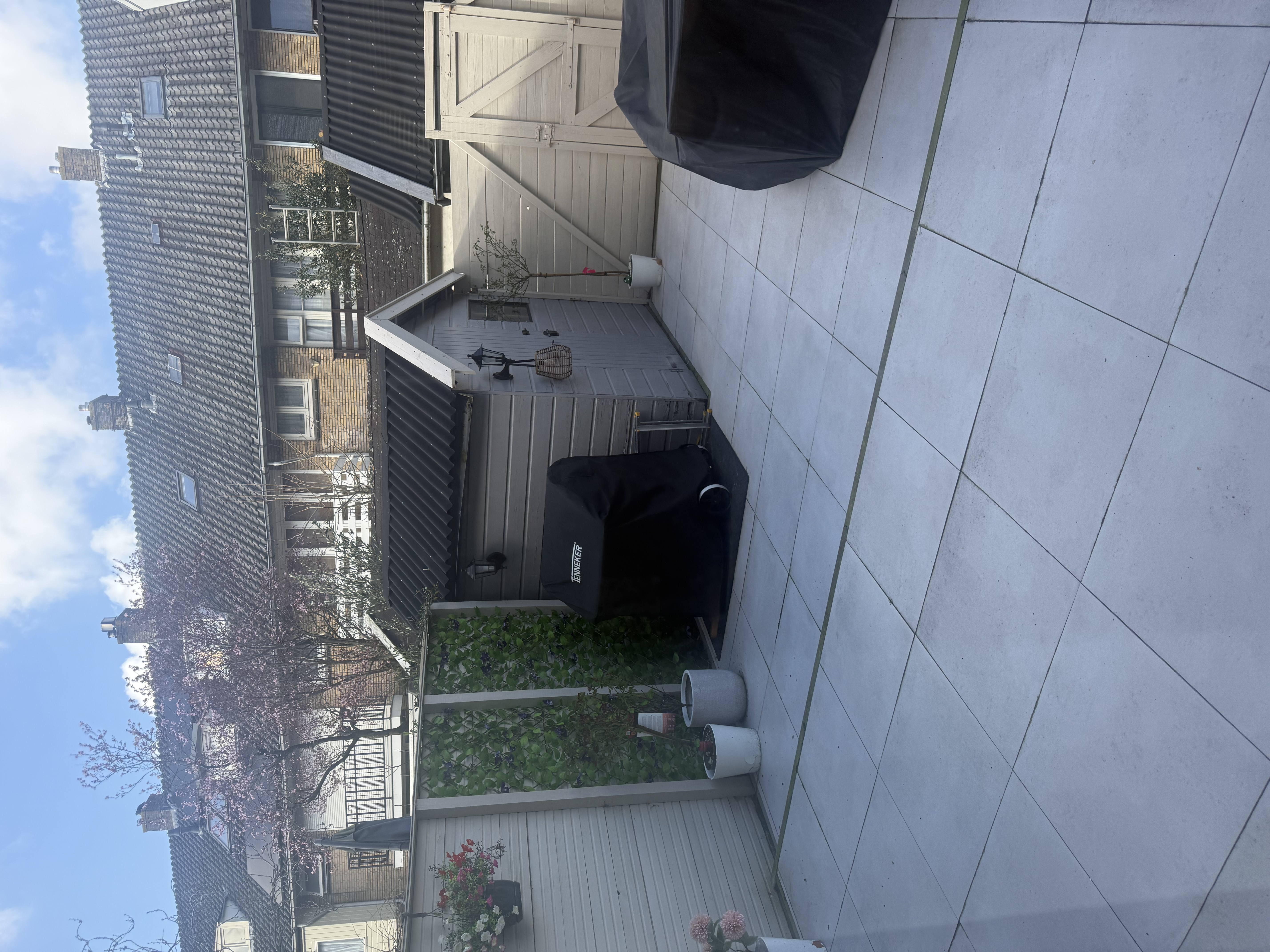 image-20