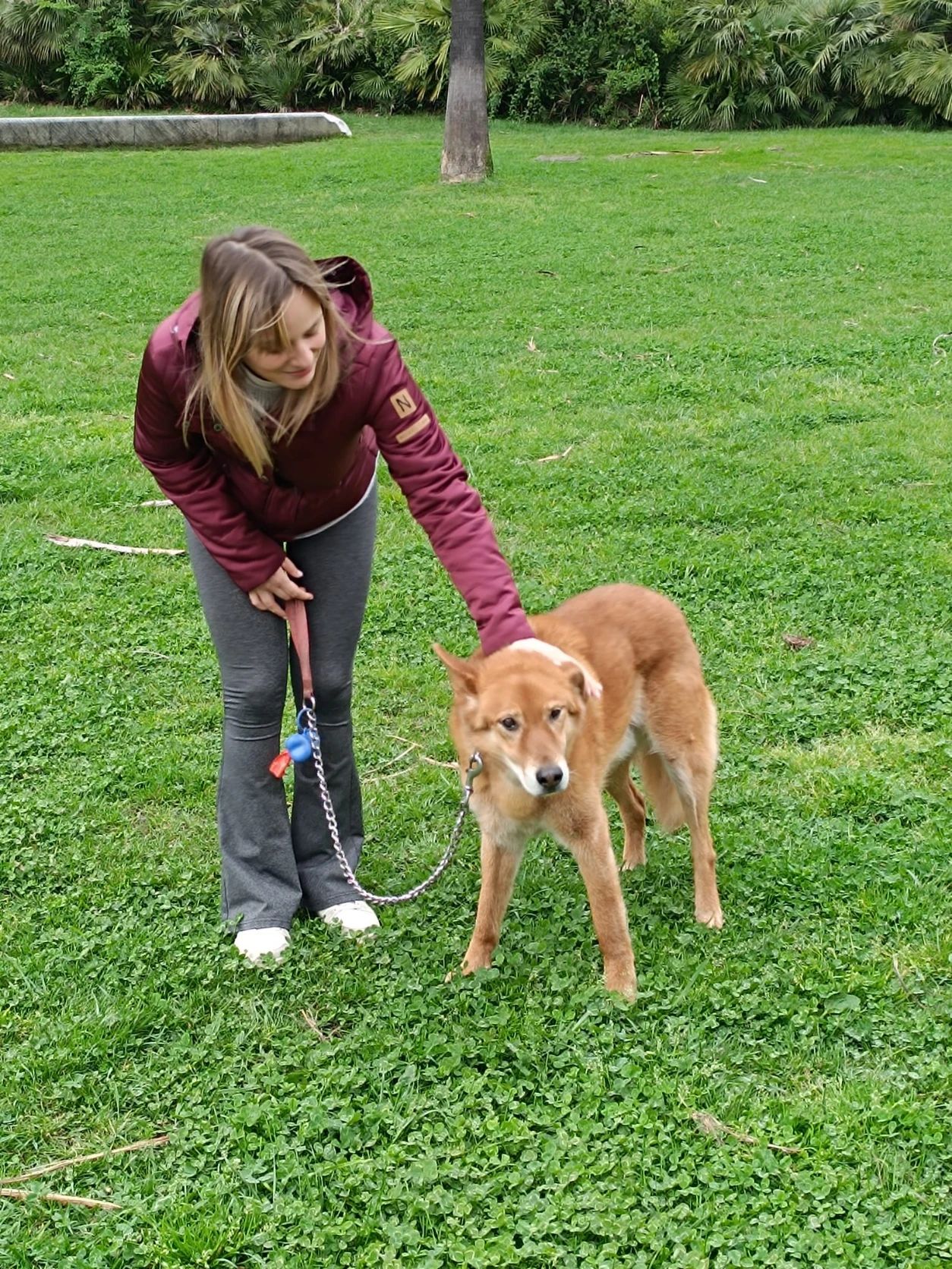 image-7
