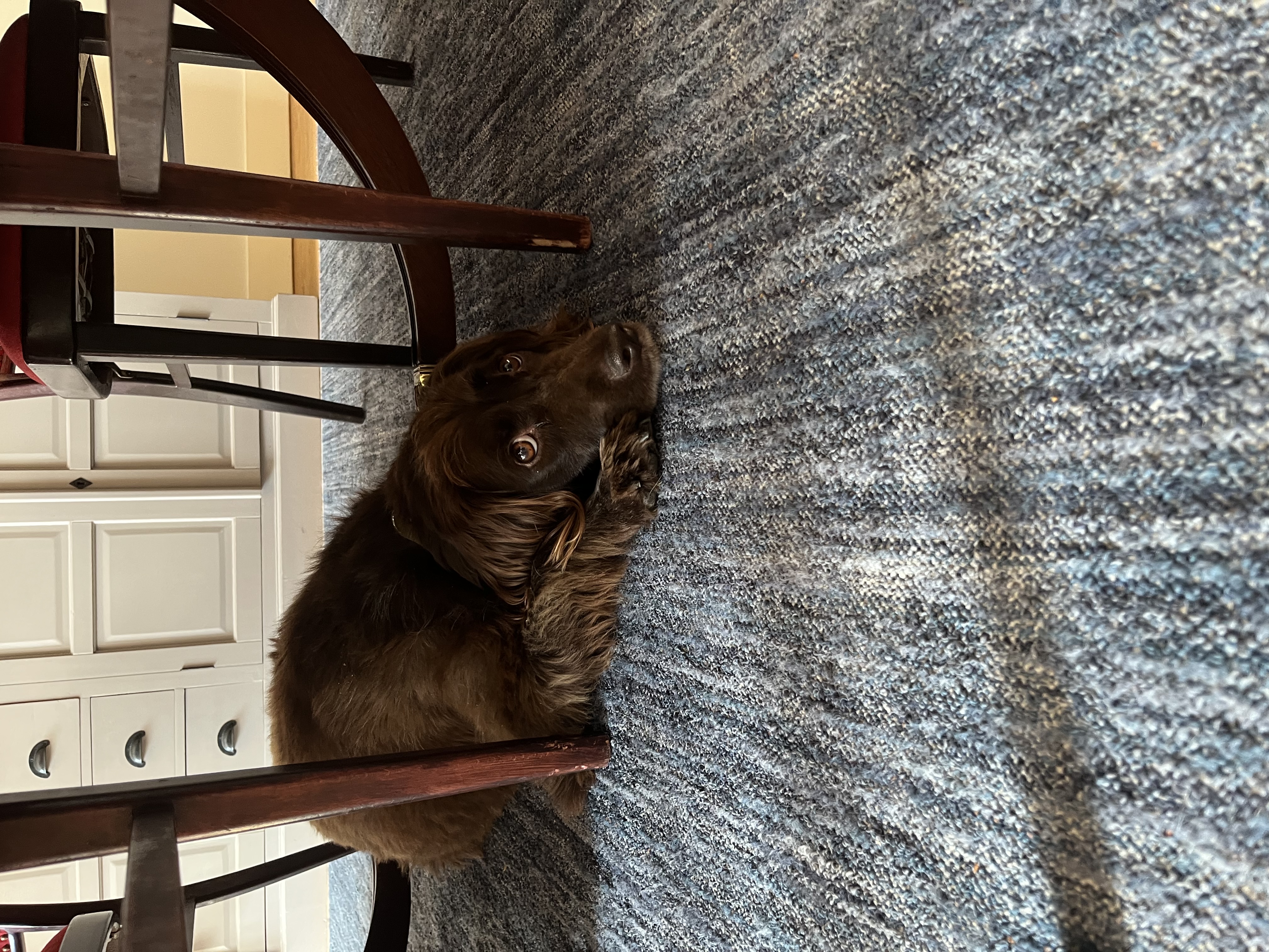 image-13
